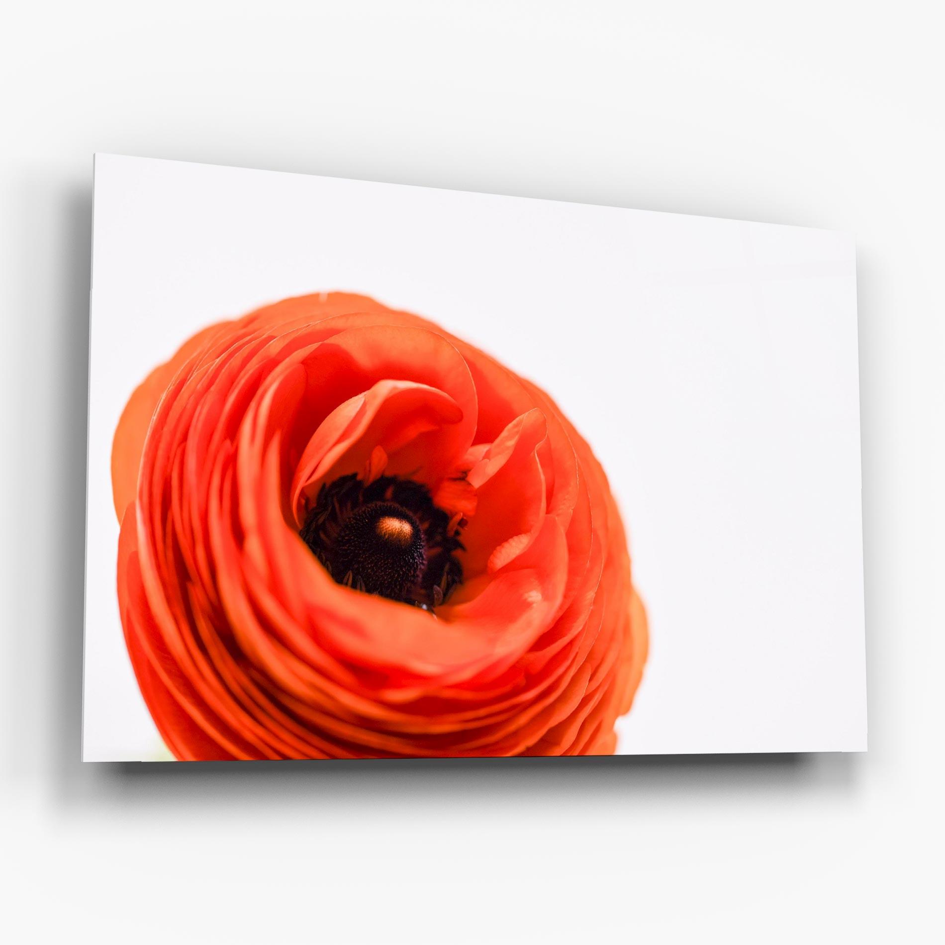 Üvegkép Pretty Red Poppy mockup 6