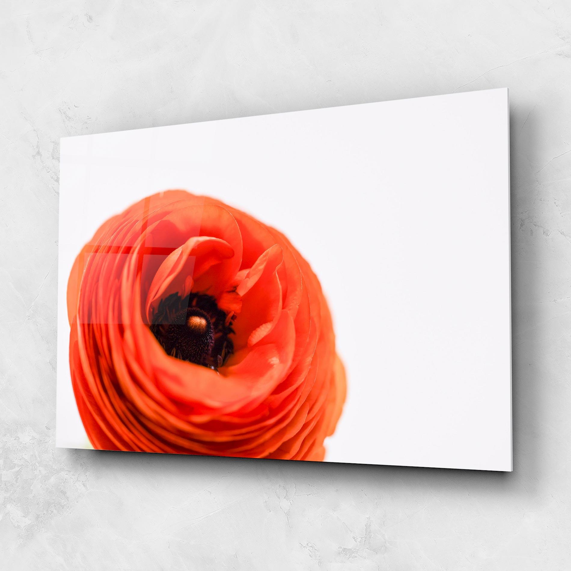Üvegkép Pretty Red Poppy mockup 1