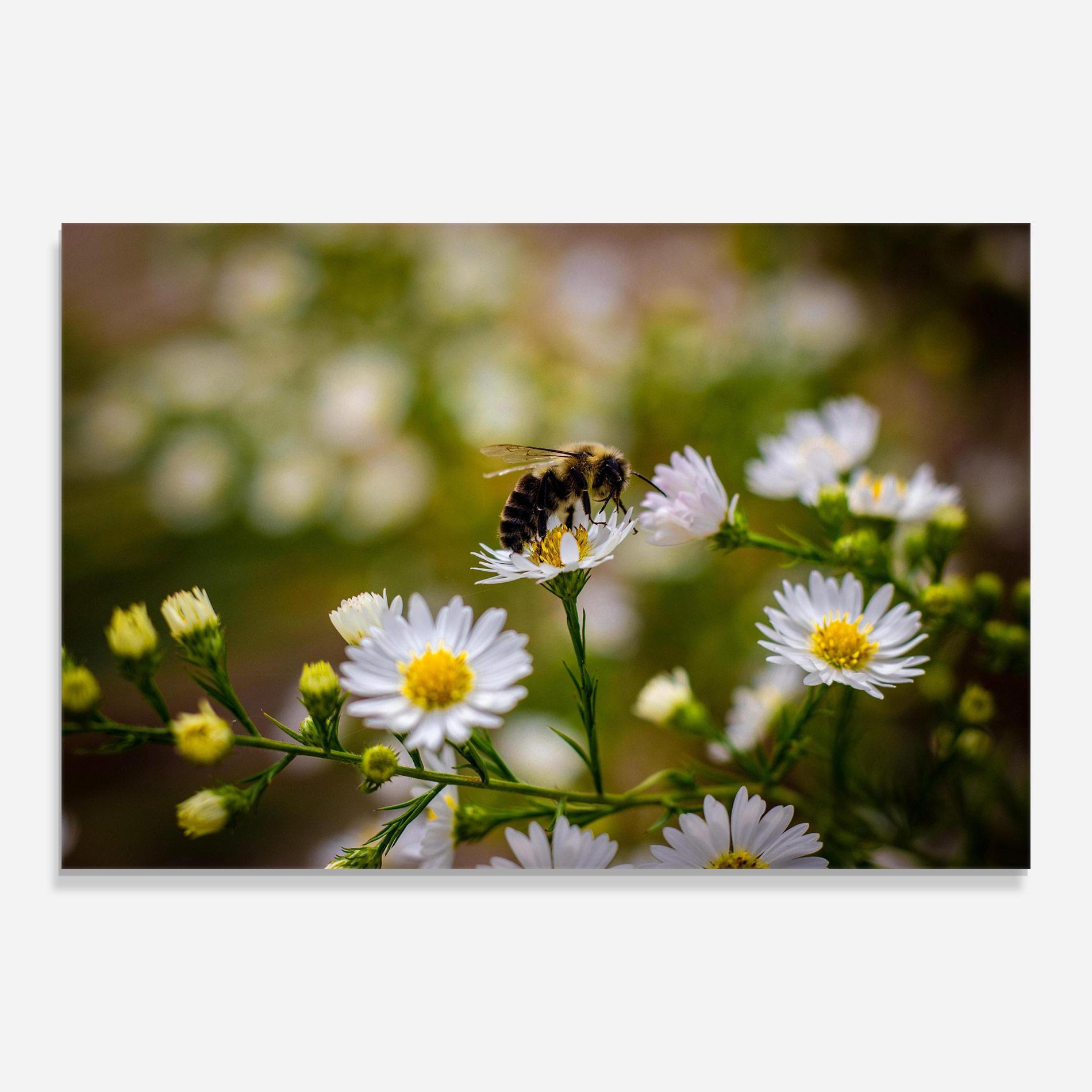 Üvegkép Bee On Small Flower mockup 0