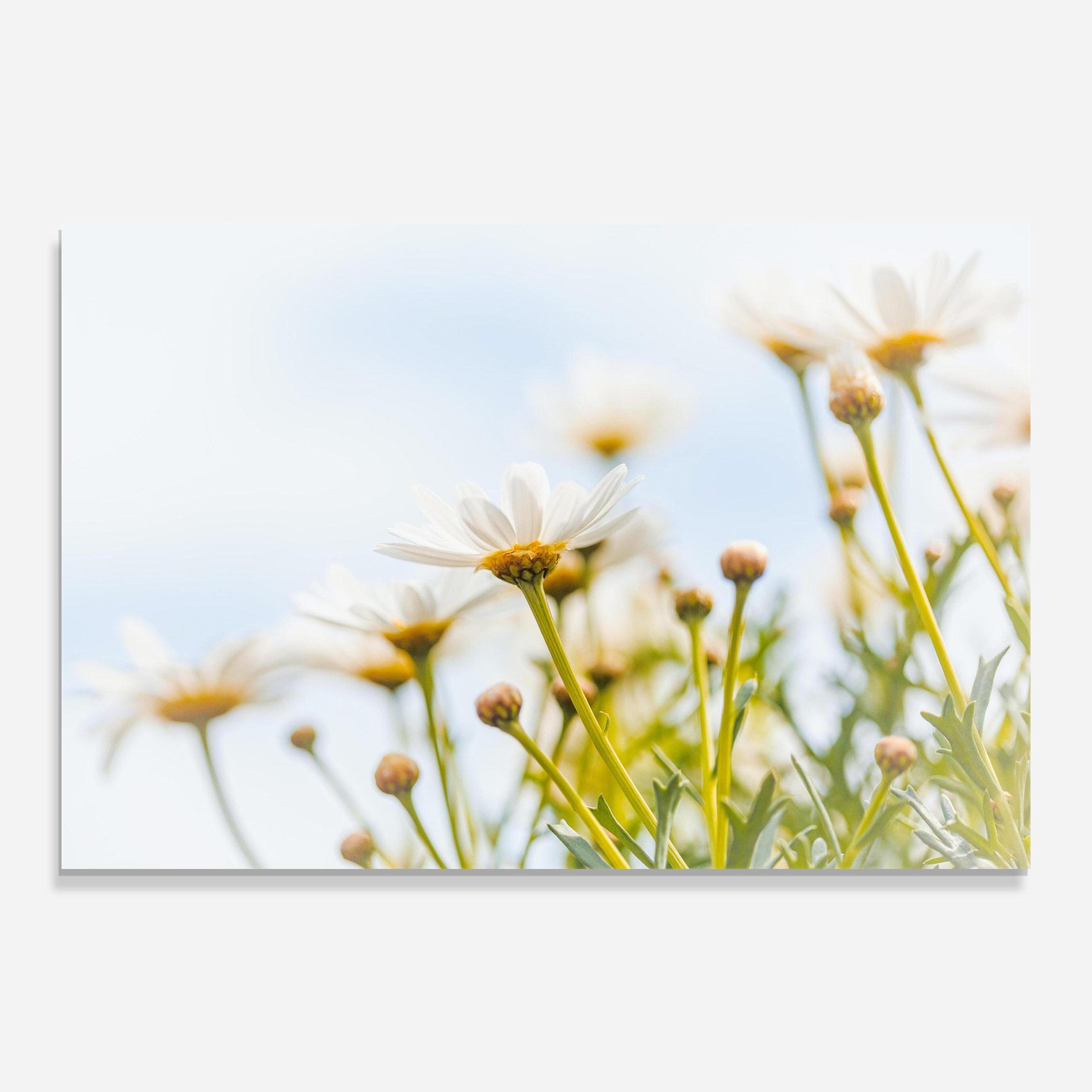 Üvegkép Dreamy Daisy mockup 0
