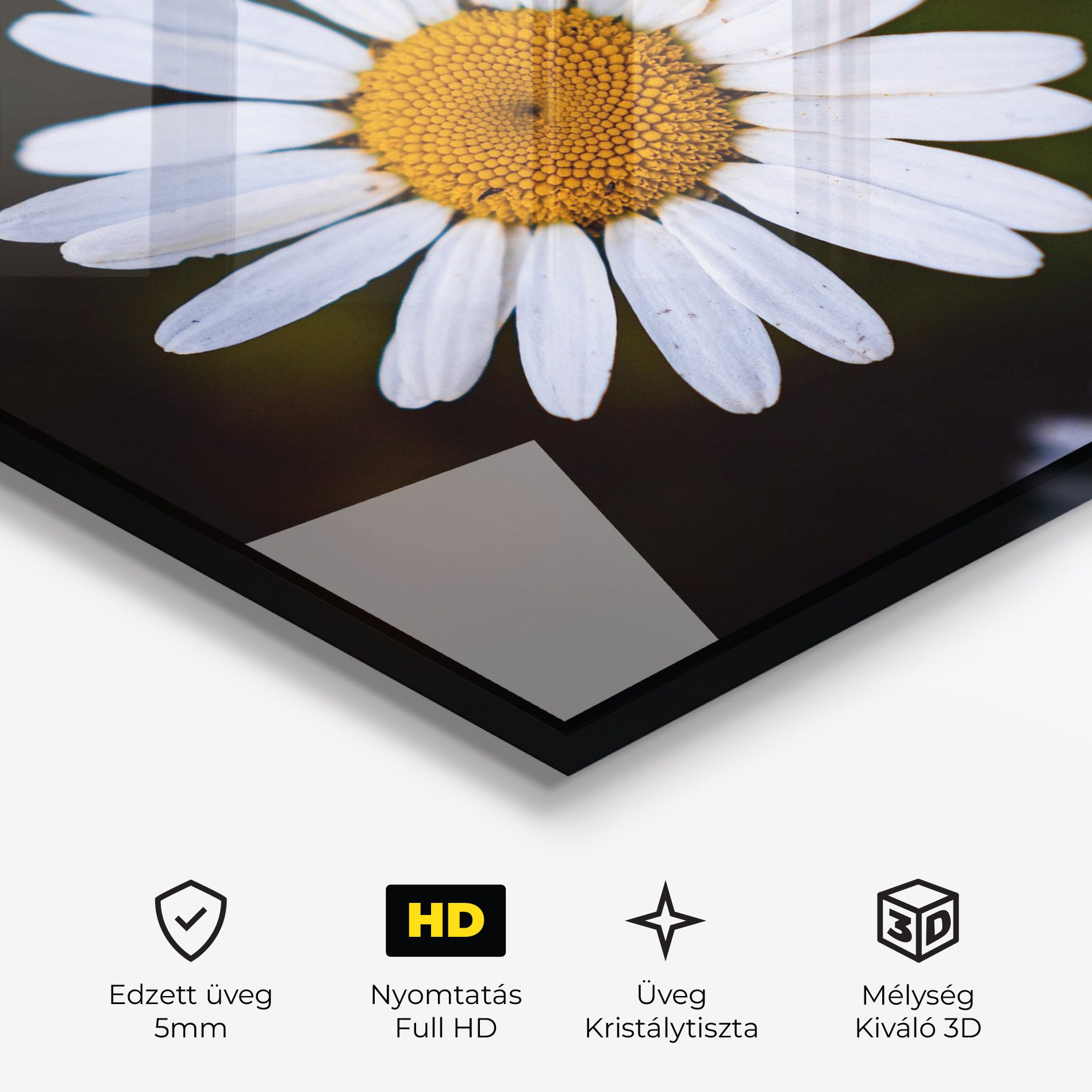 Big Yellow Center Daisy mockup 3