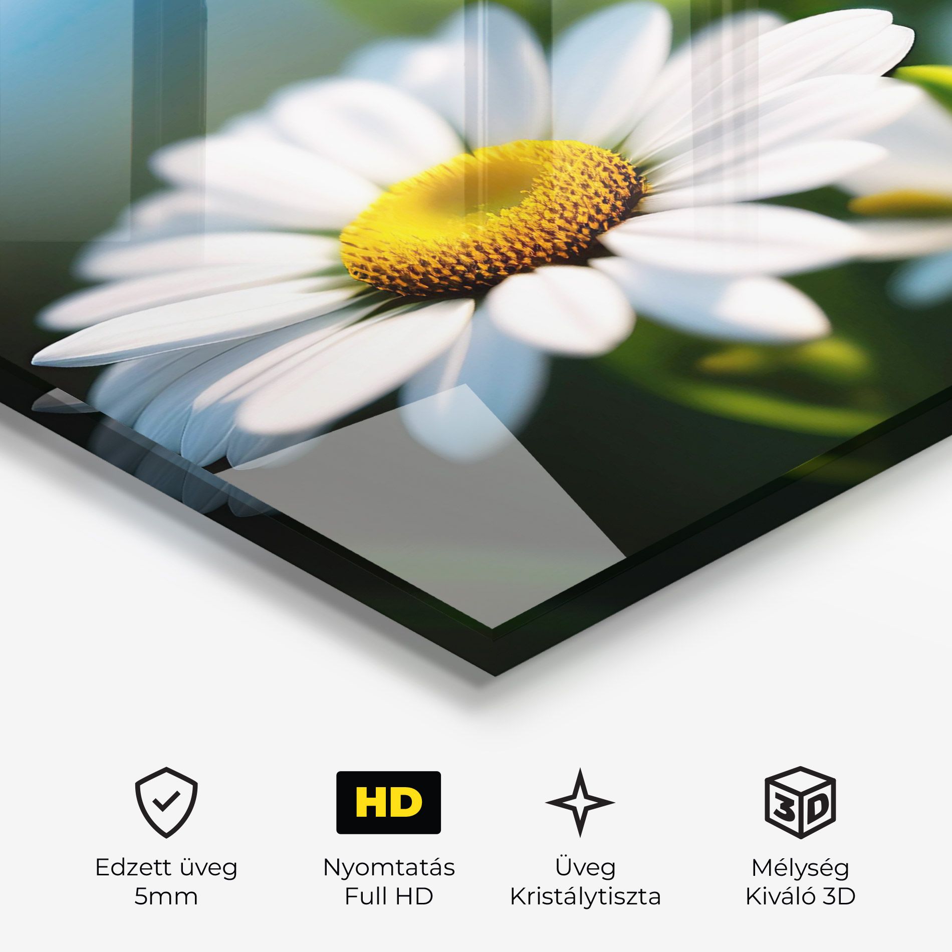 Daisy In The Sun mockup 3