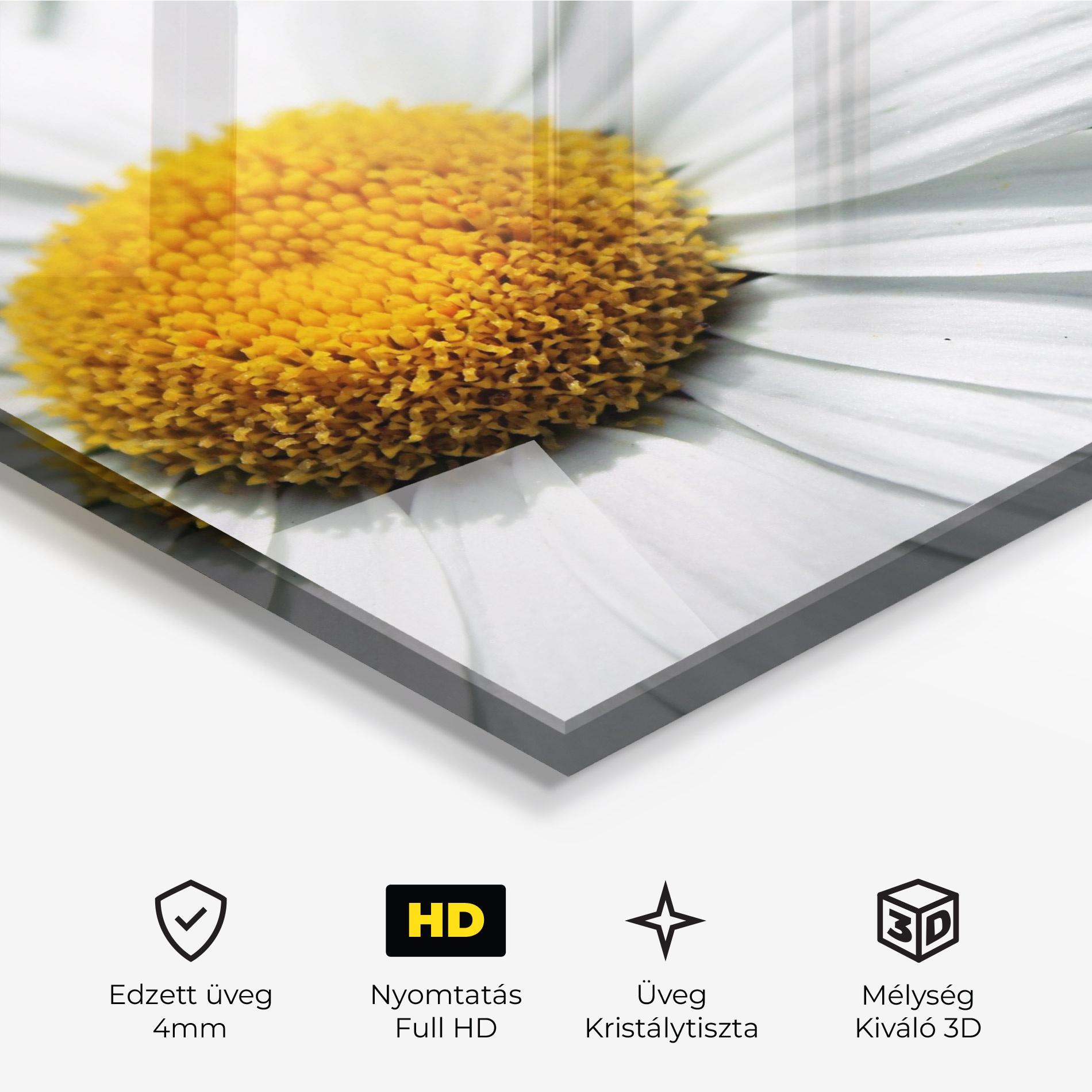 Üvegkép Big Daisies mockup 3