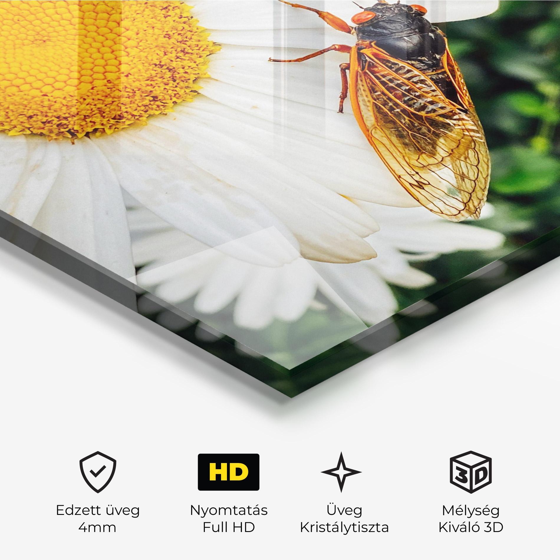Üvegkép Bug On The Daisy mockup 3