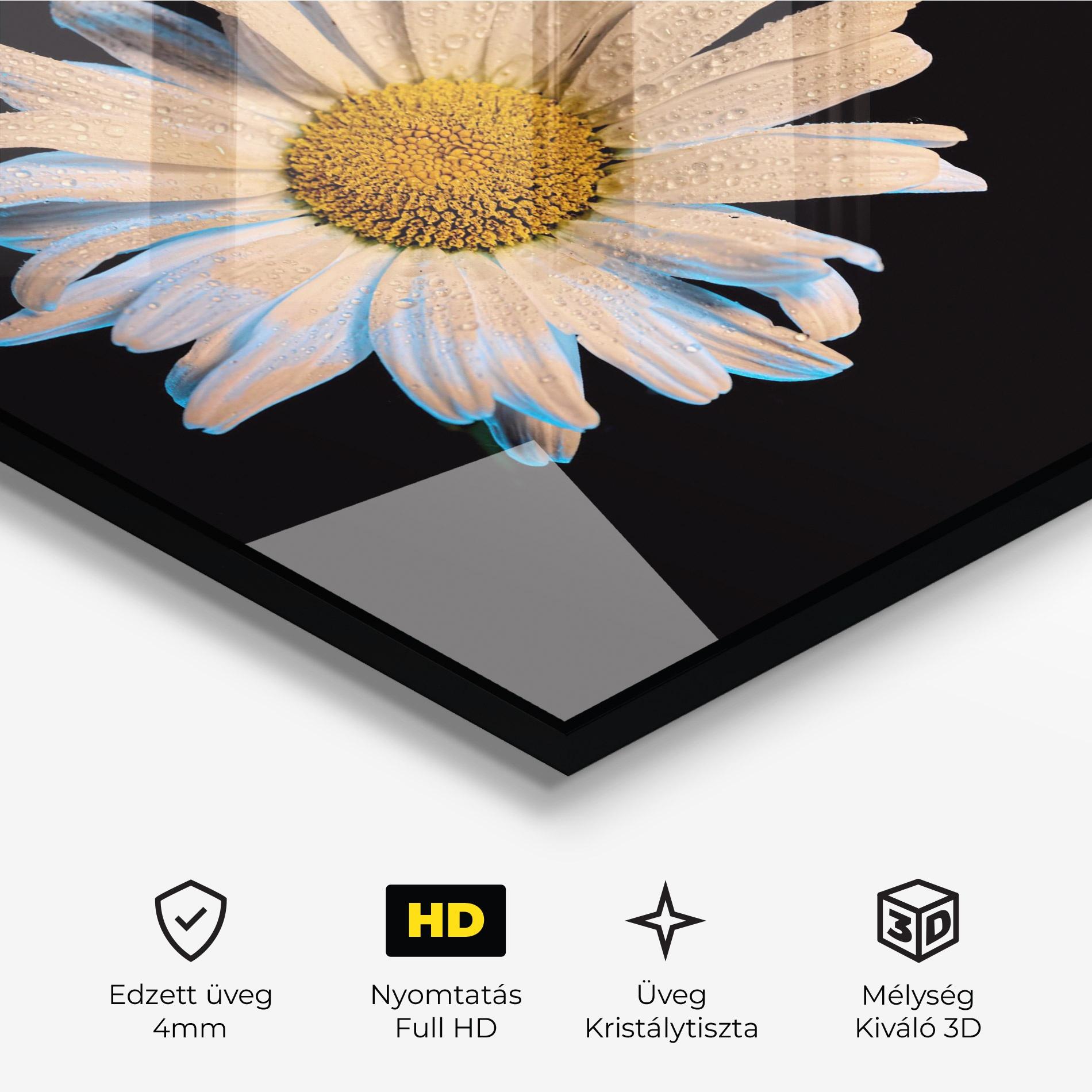 Üvegkép Daisy mockup 3