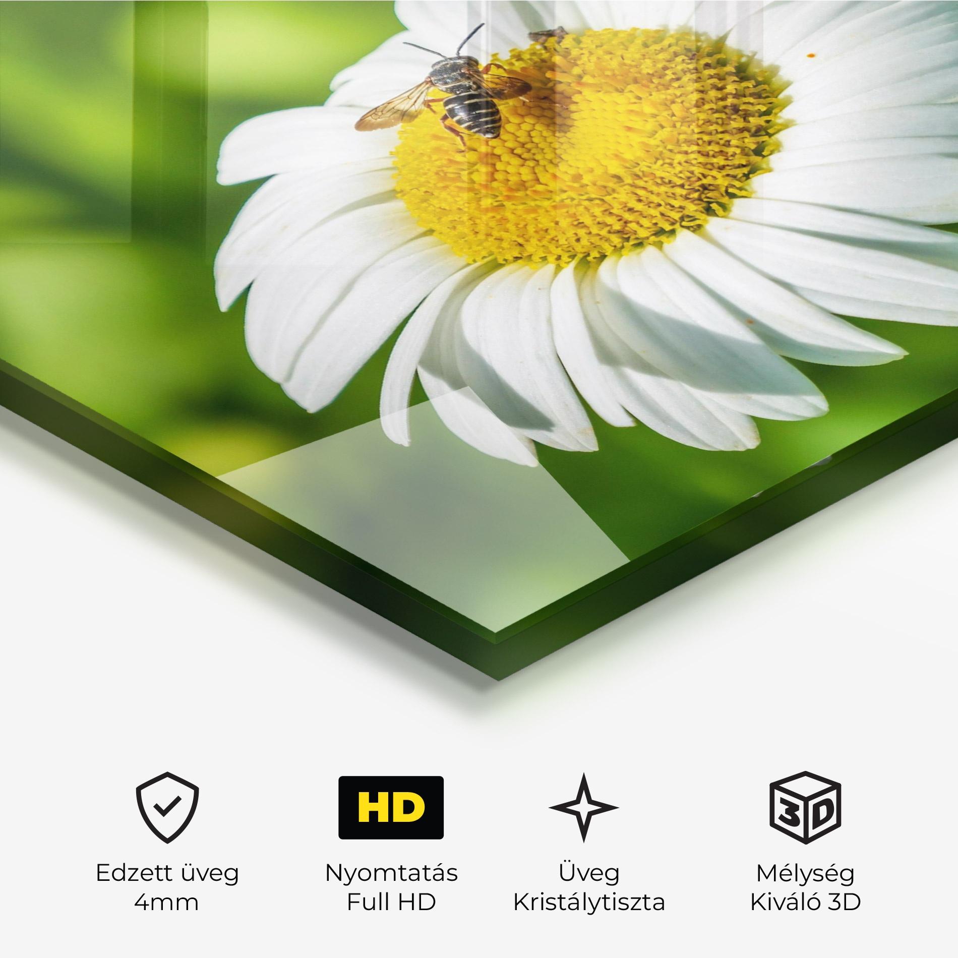 Üvegkép Flying On The Daisy mockup 3