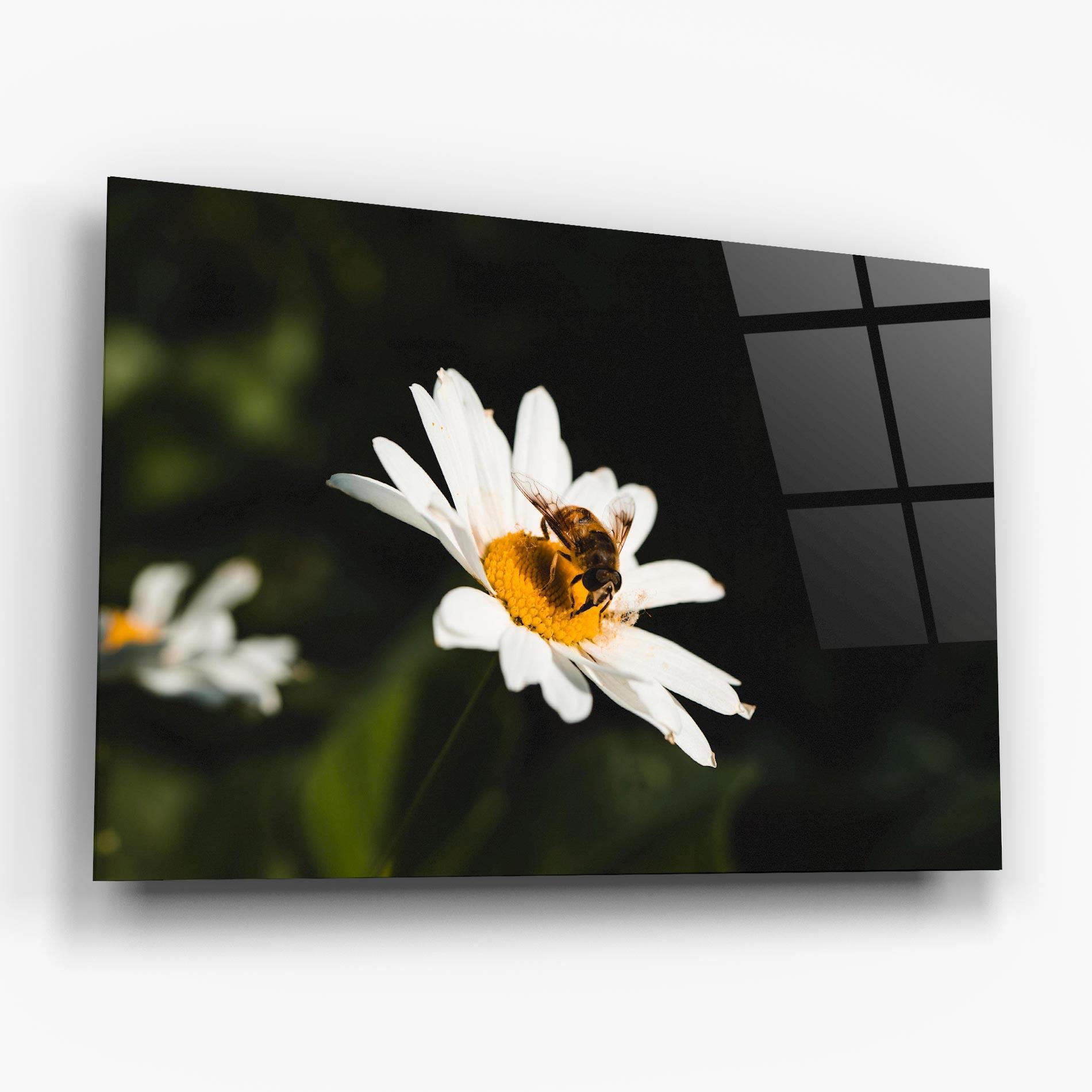 Üvegkép Bee Flying On Daisy mockup 6