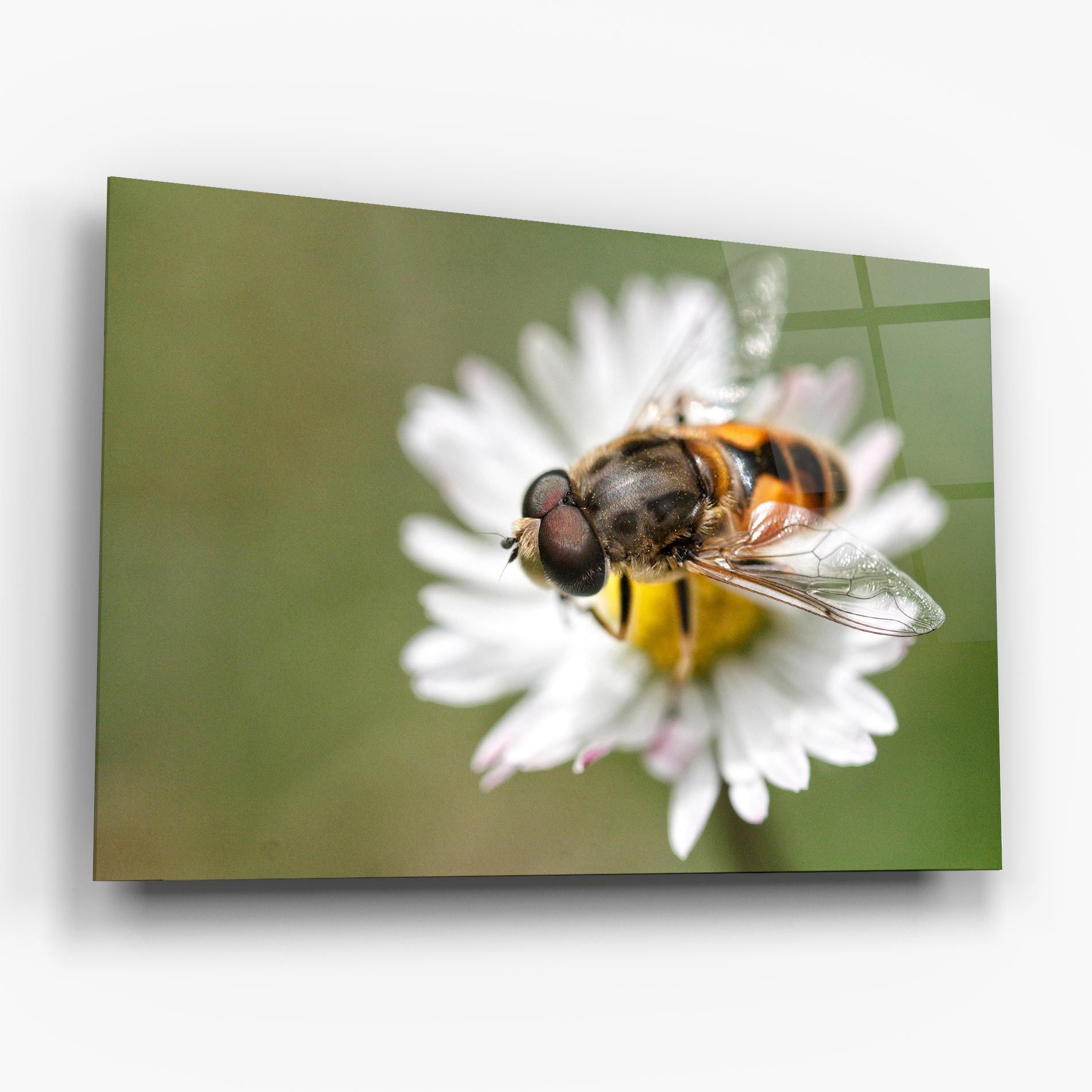 Bee On Small Daisy mockup 6