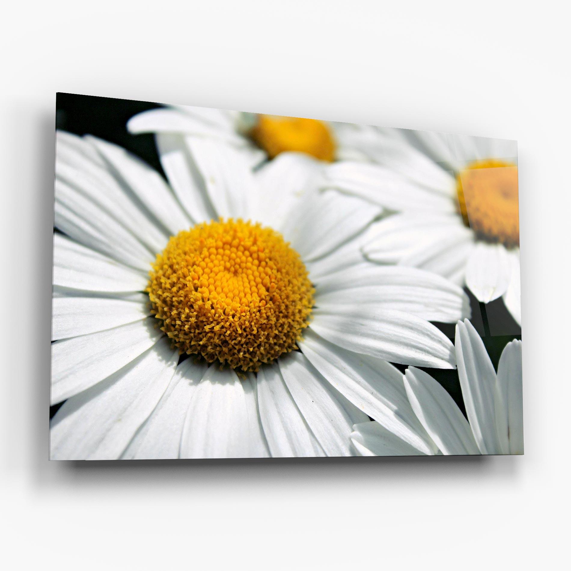 Üvegkép Big Daisies mockup 6
