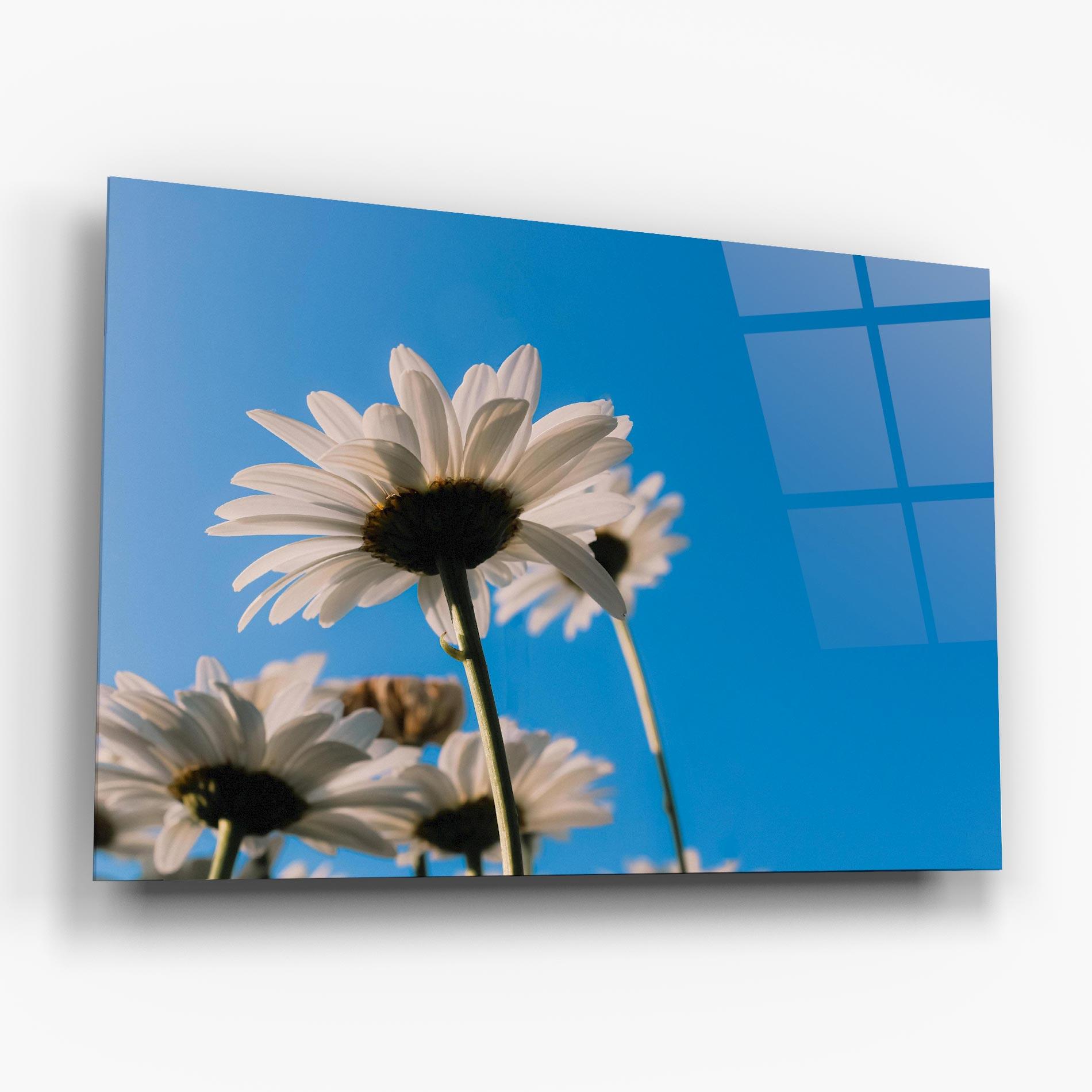 Üvegkép Blue Sky Daisy mockup 6