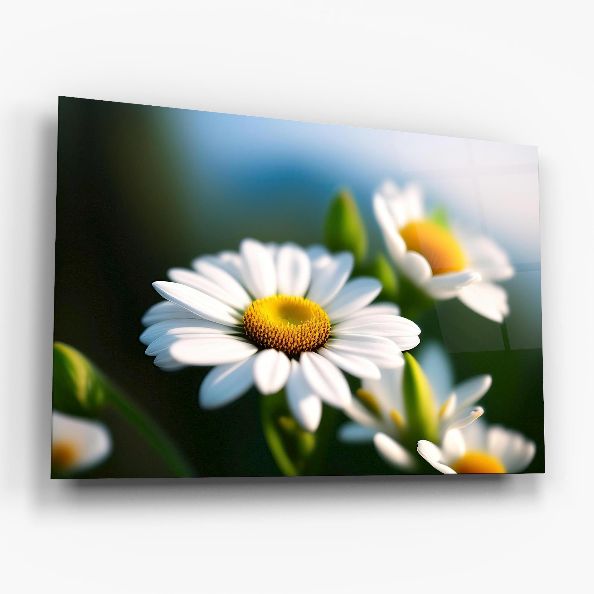 Daisy In The Sun mockup 6