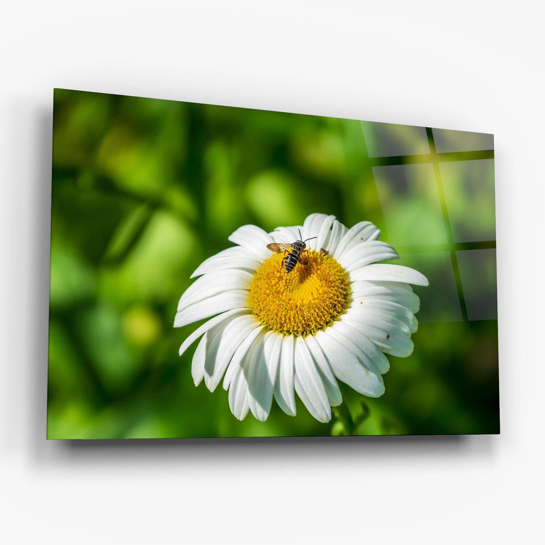 Flying On The Daisy mockup 6