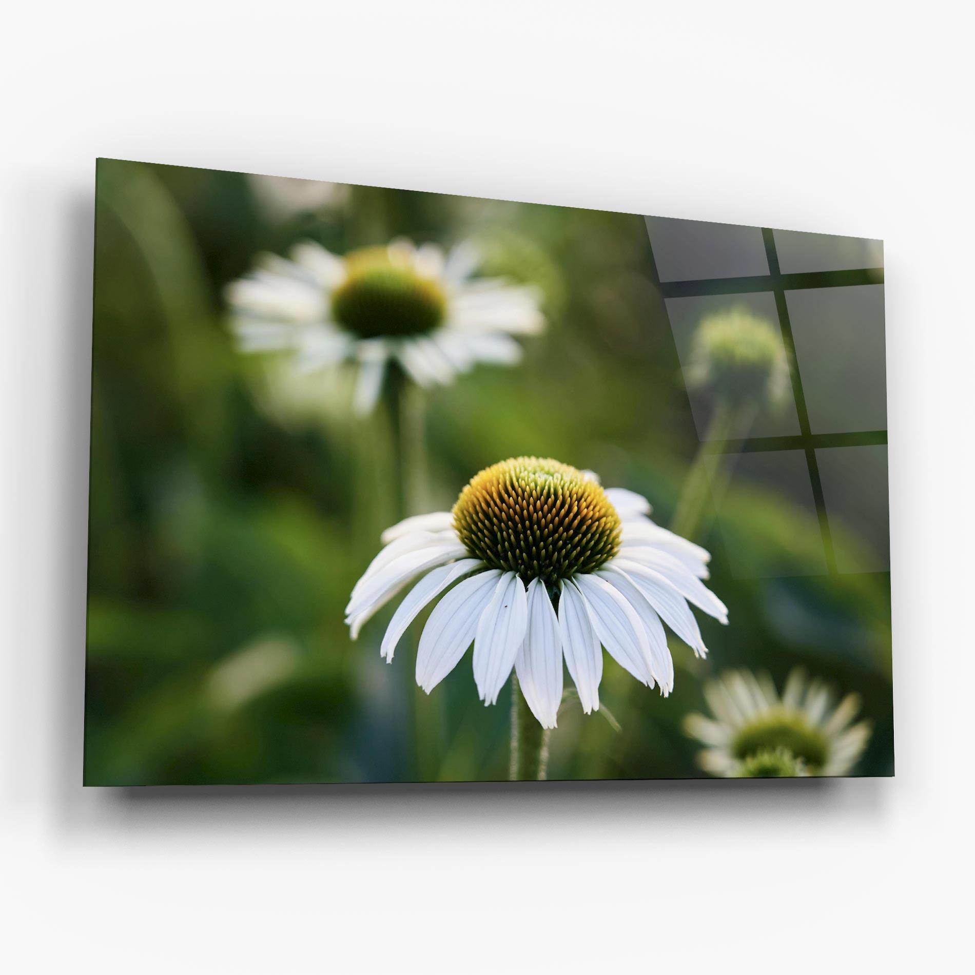 Üvegkép Small Green Daisy mockup 6