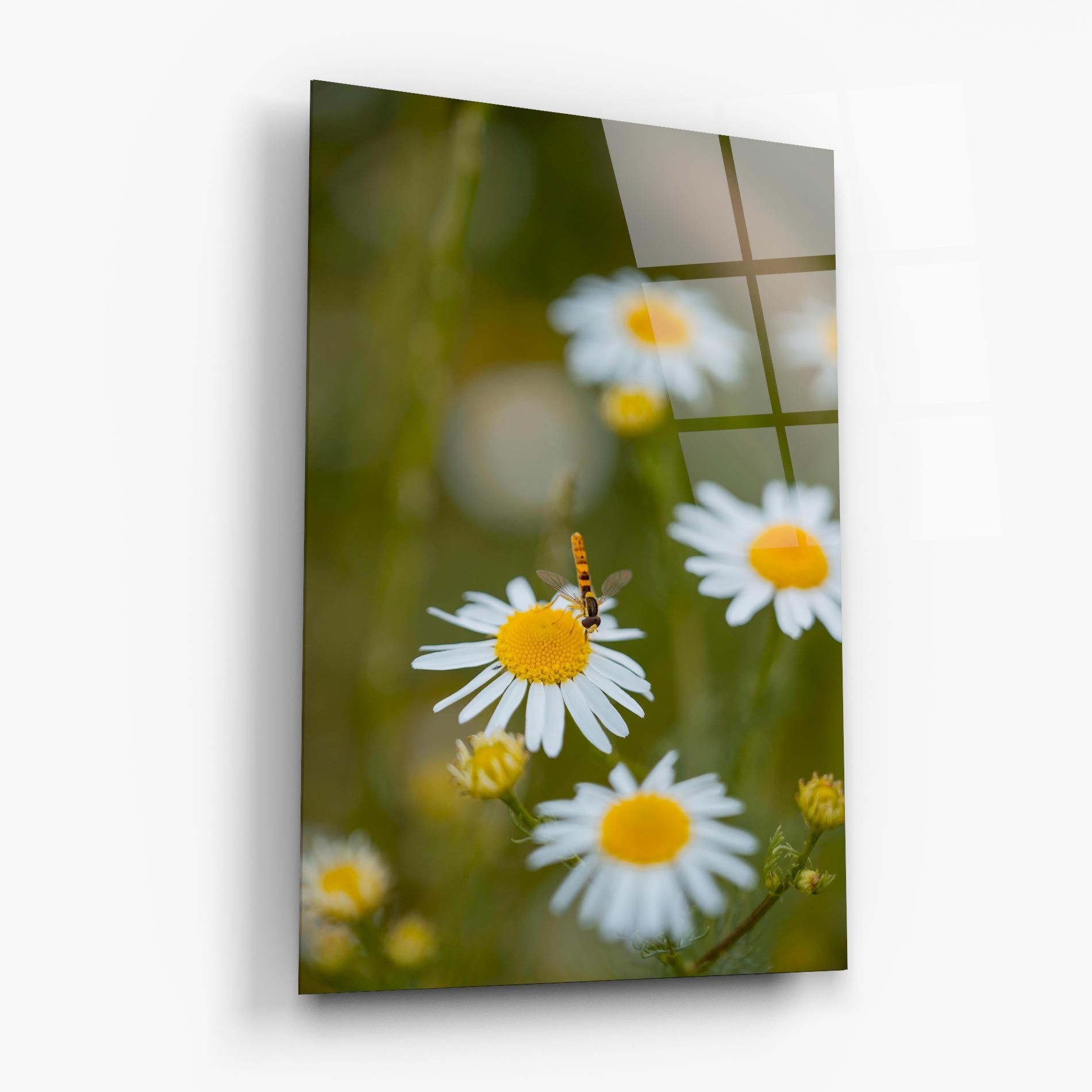 Bug On Small Daisy mockup 6