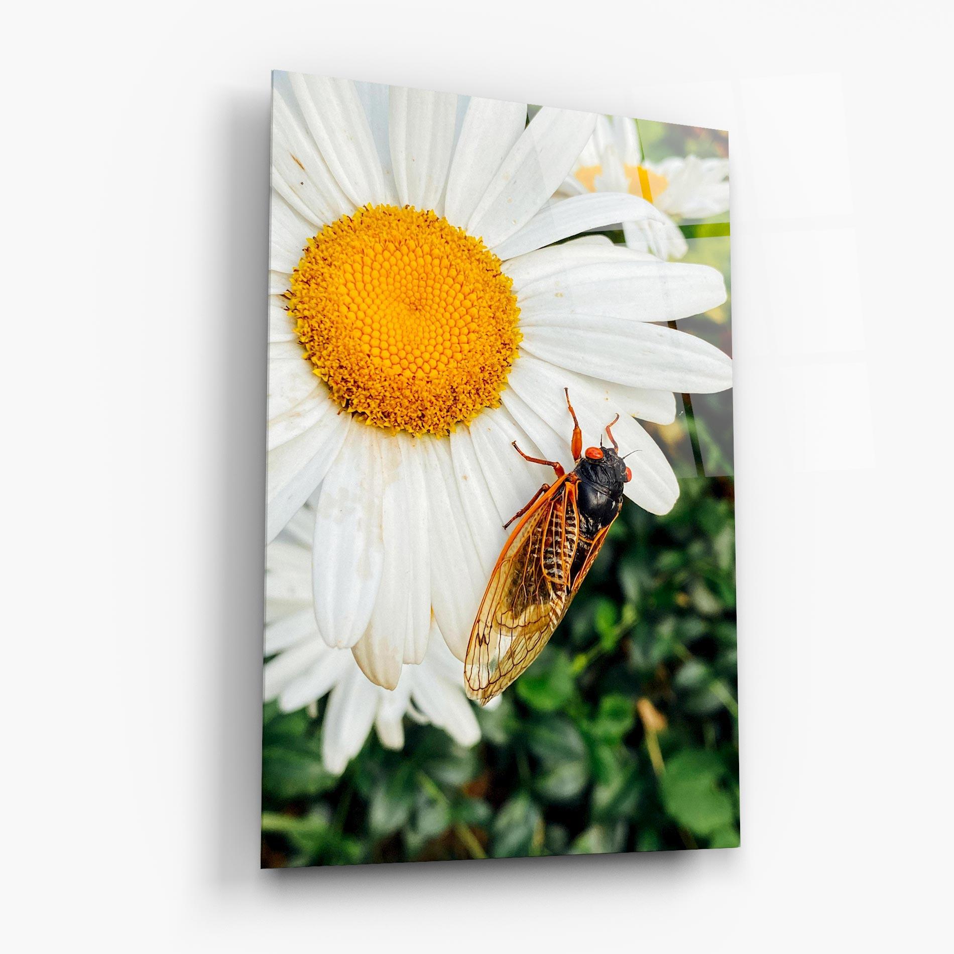 Üvegkép Bug On The Daisy mockup 6