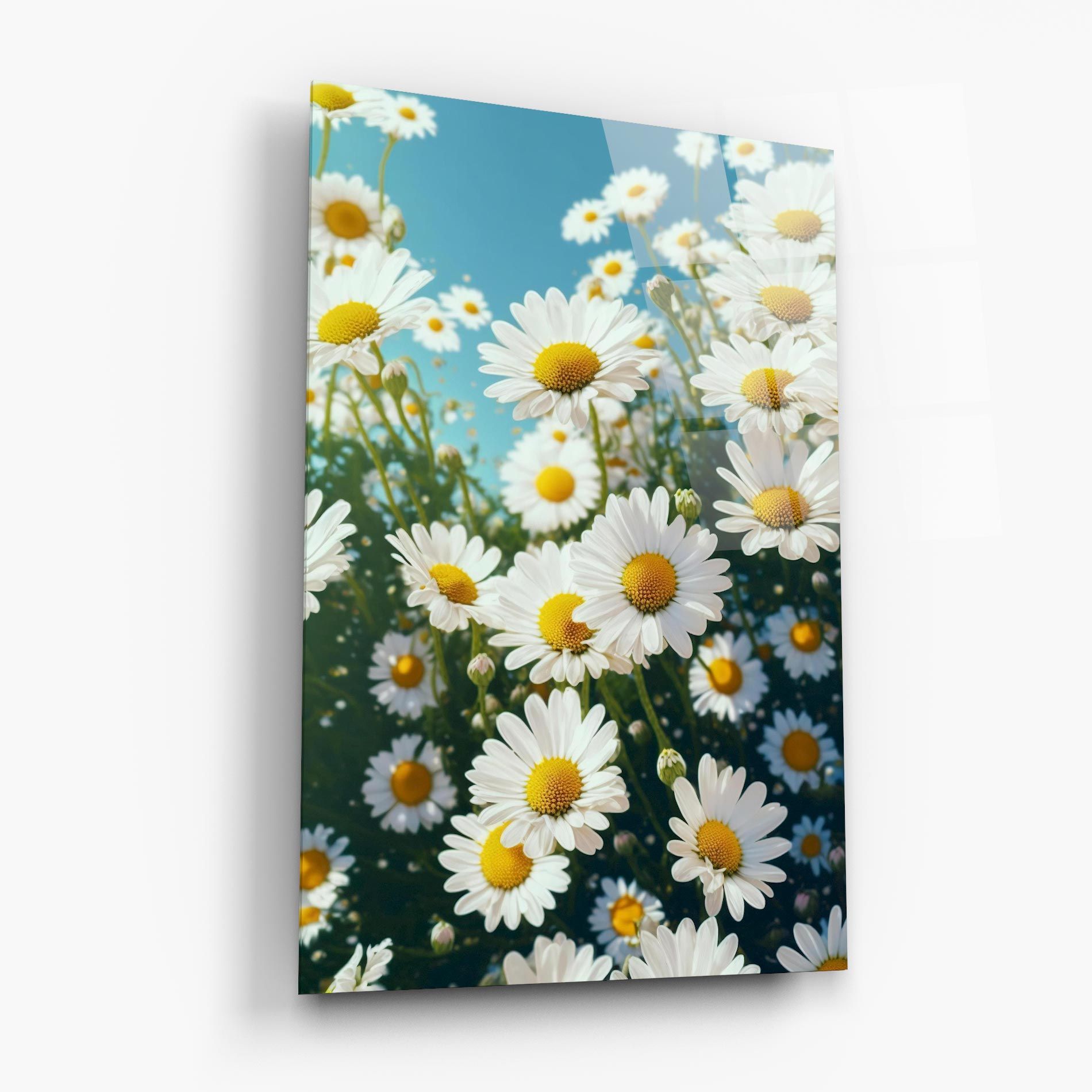 Daisy Field View mockup 6