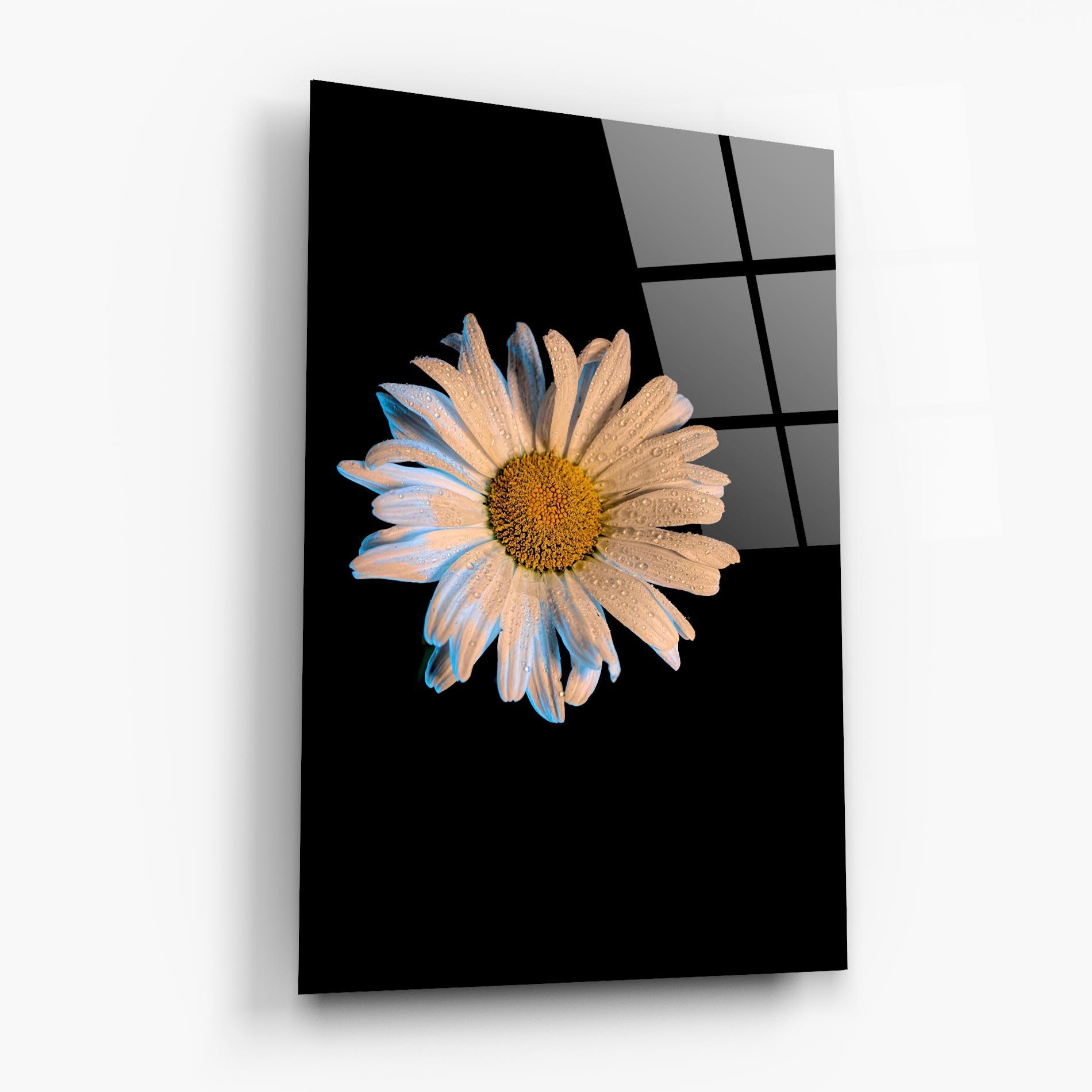 Üvegkép Daisy mockup 6