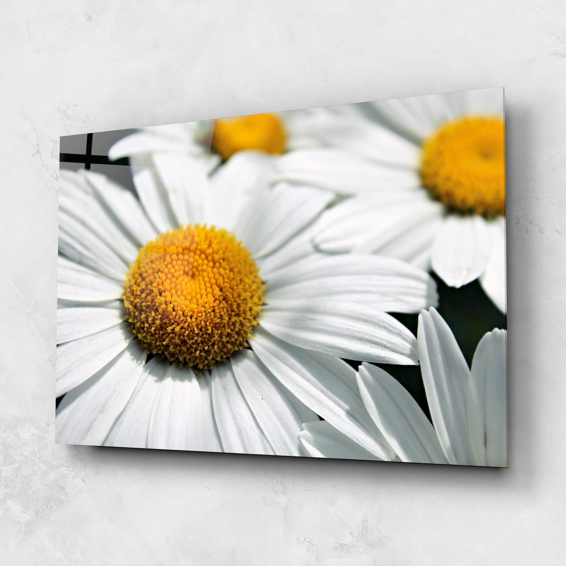 Üvegkép Big Daisies mockup 1