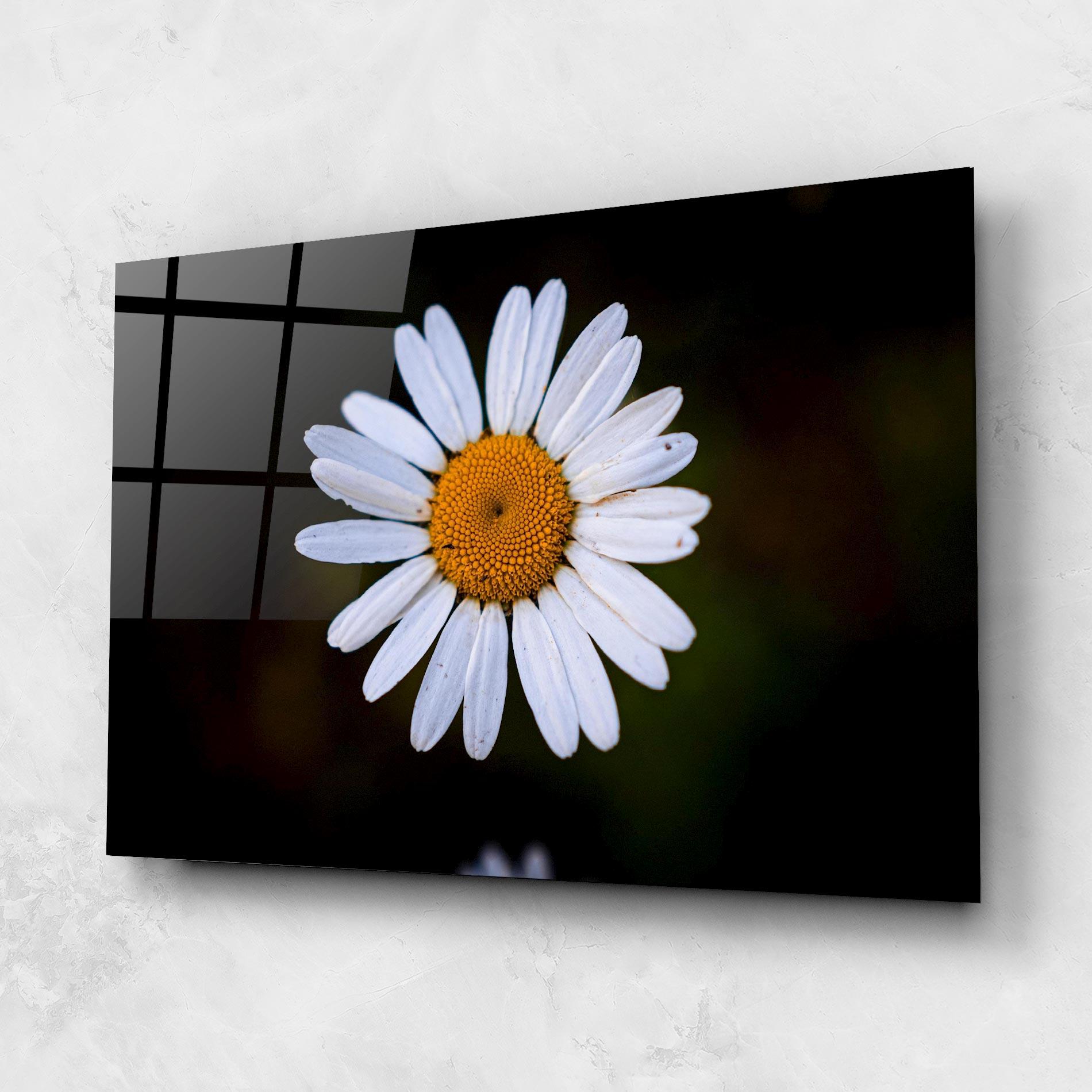 Üvegkép Big Yellow Center Daisy mockup 1