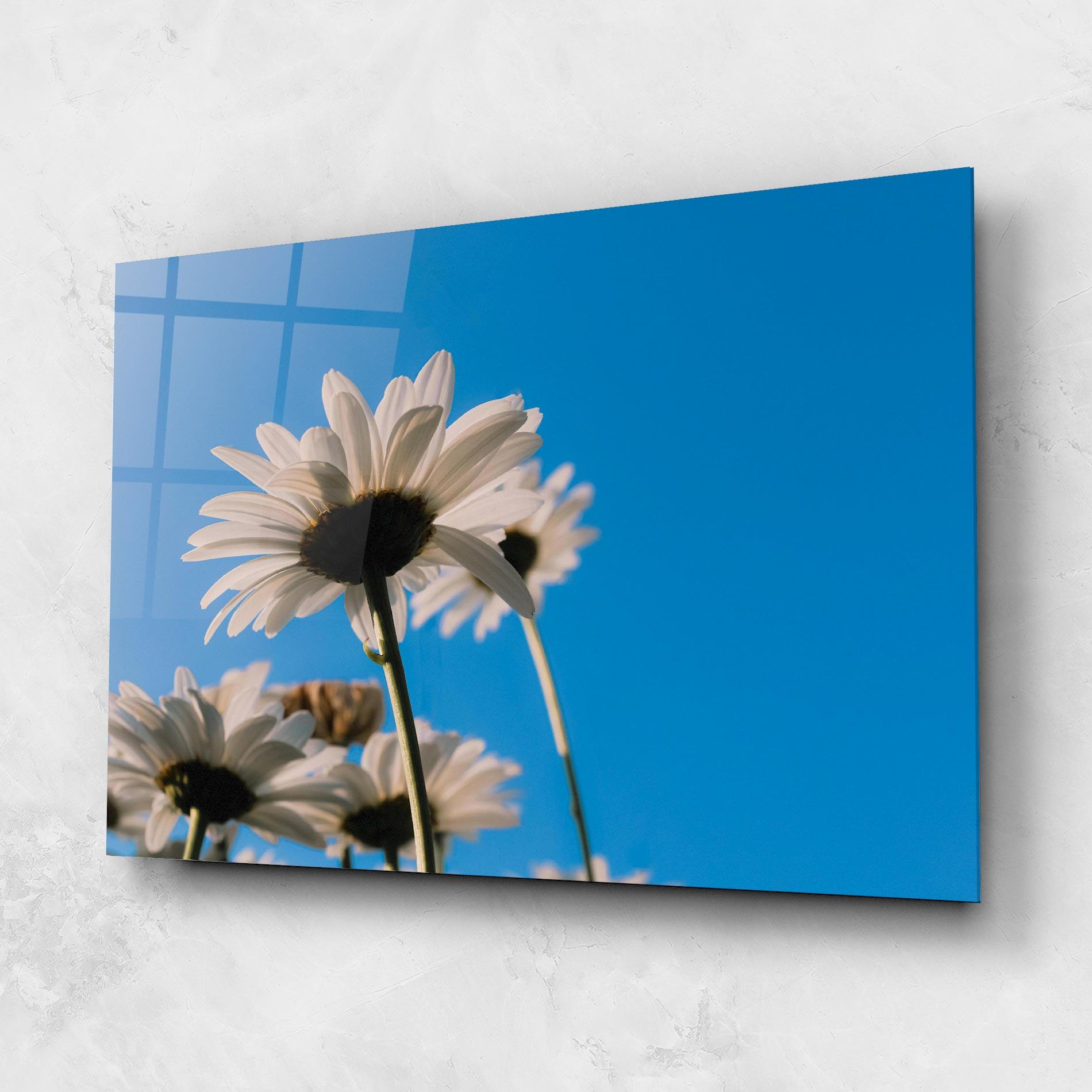 Üvegkép Blue Sky Daisy mockup 1