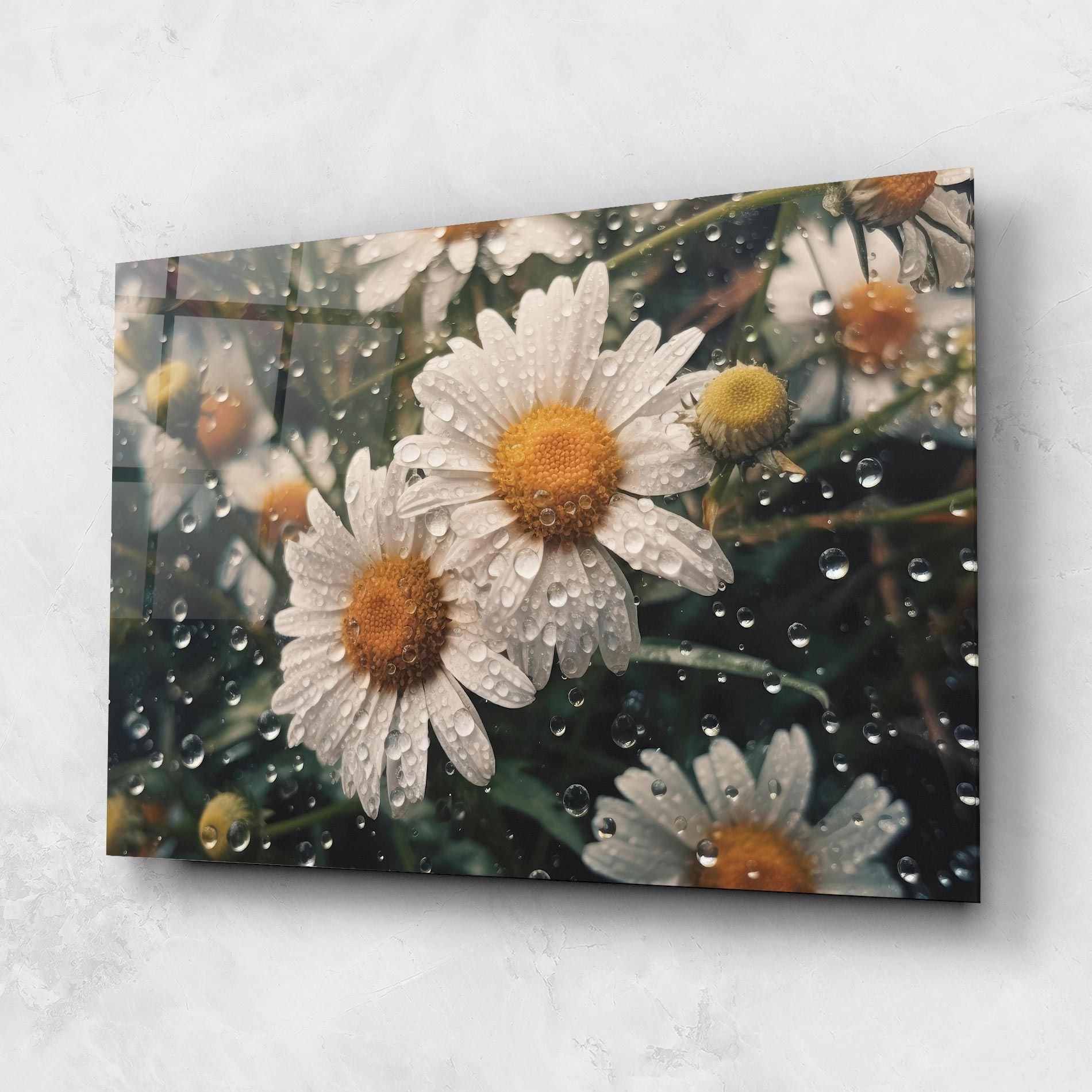 Daisy View After Rain mockup 1