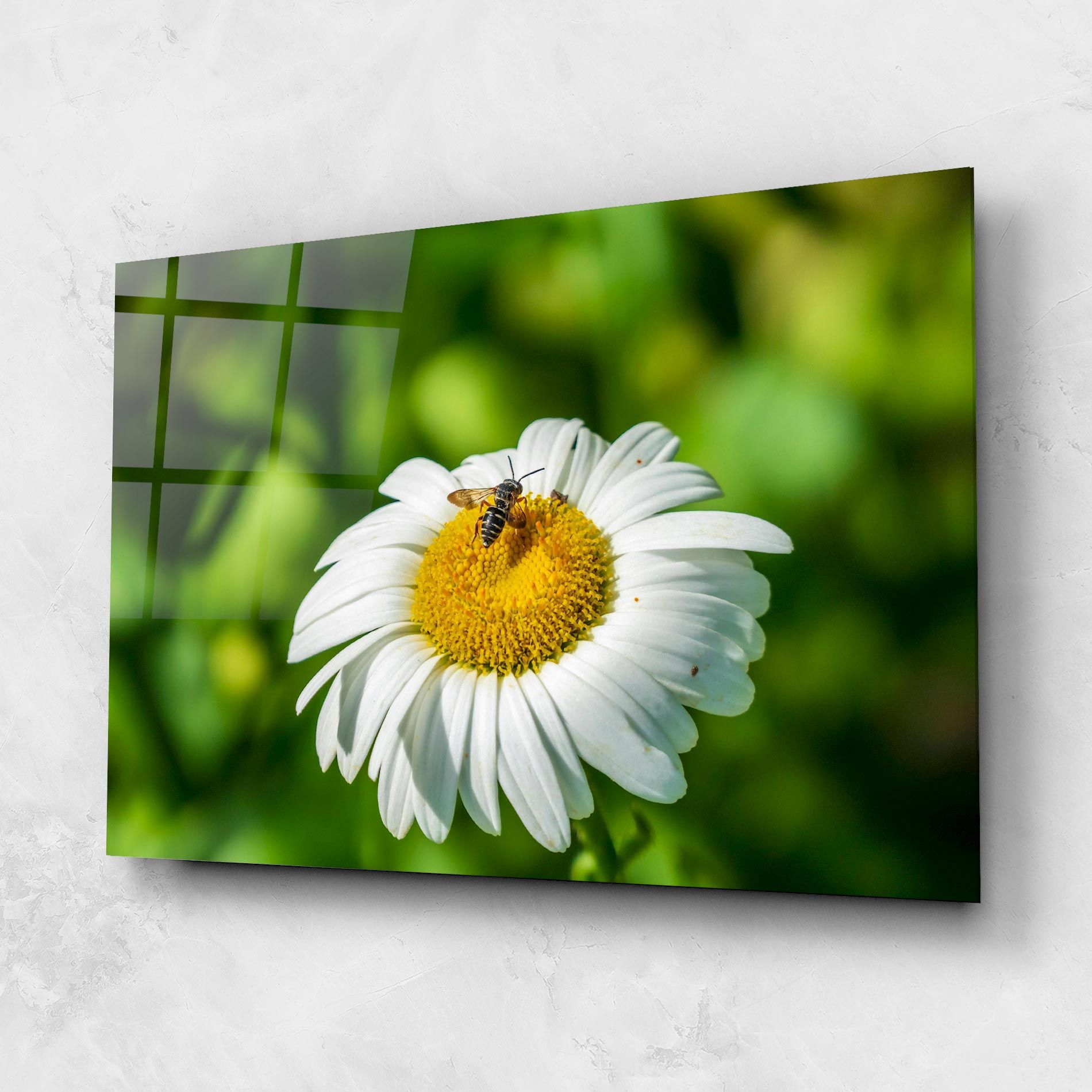 Flying On The Daisy mockup 1