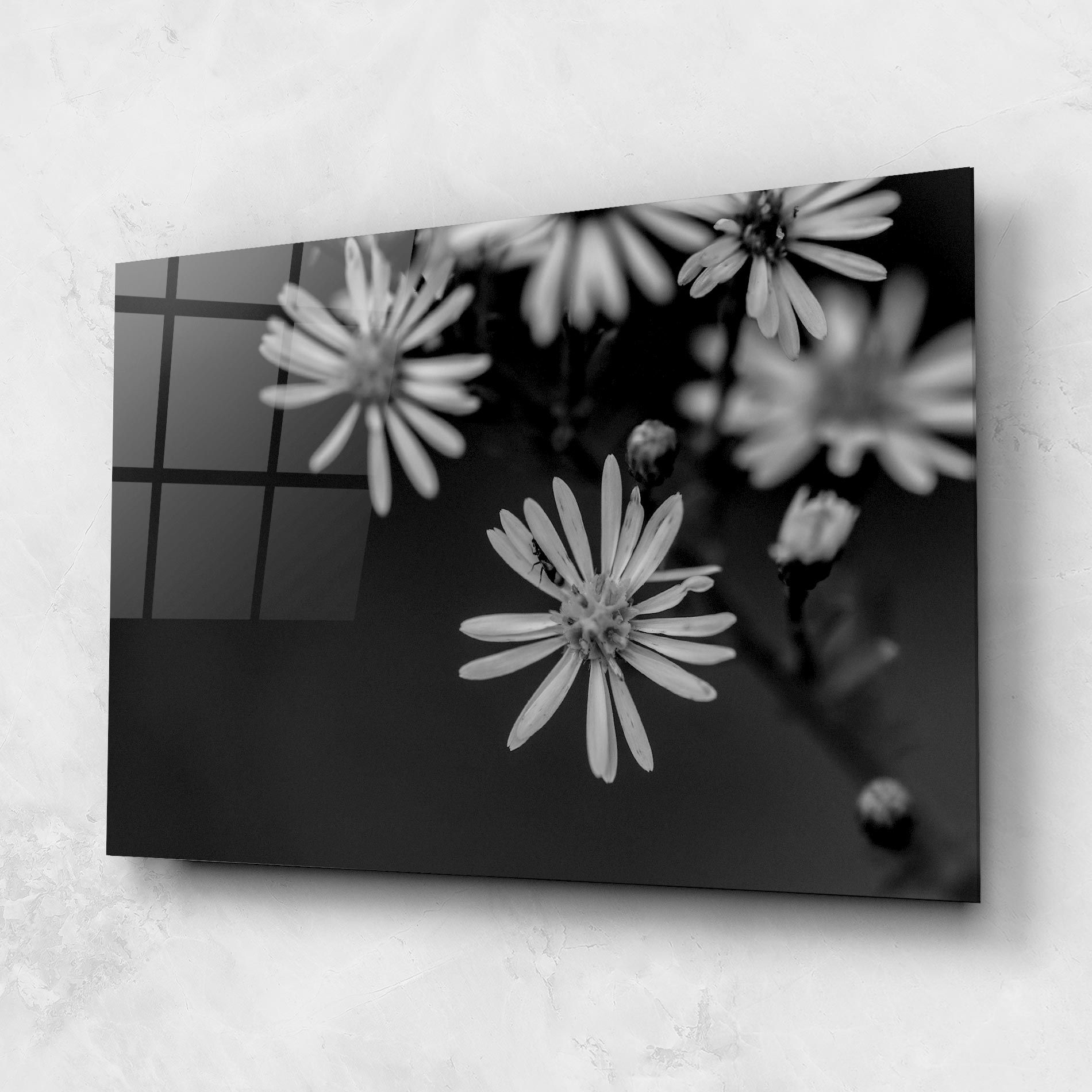 Grey Small Daisy mockup 1
