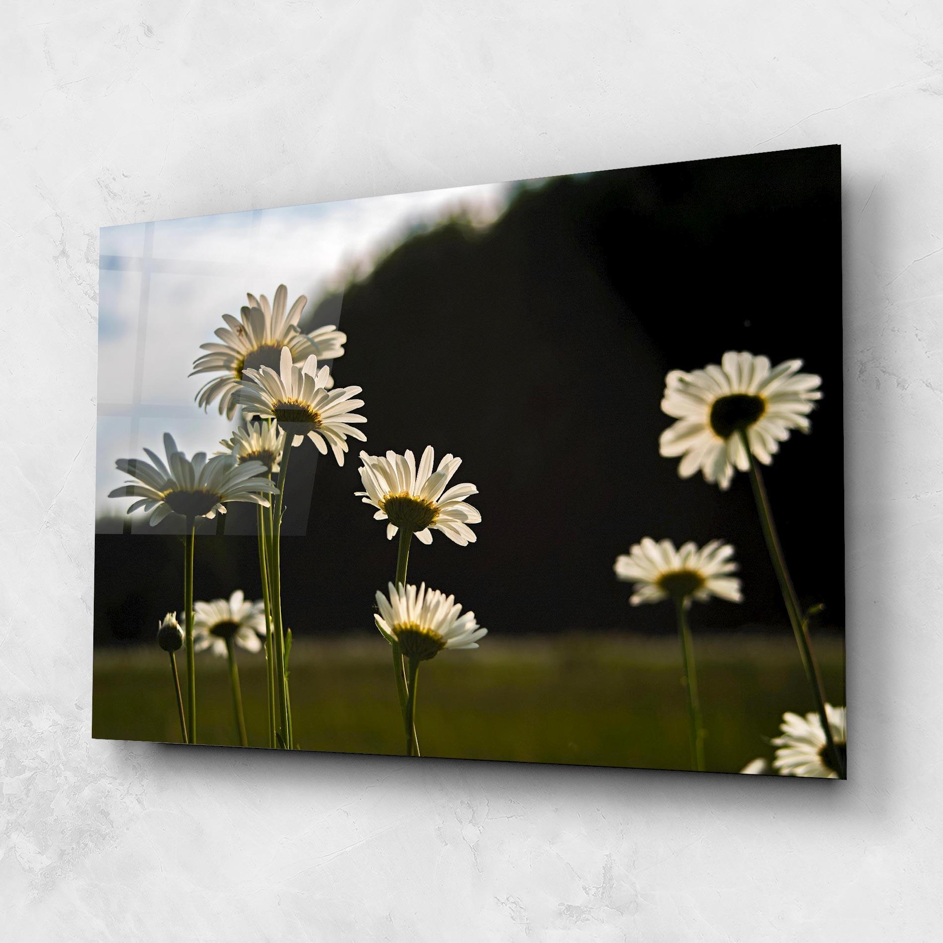 Üvegkép Wild Daisy mockup 1