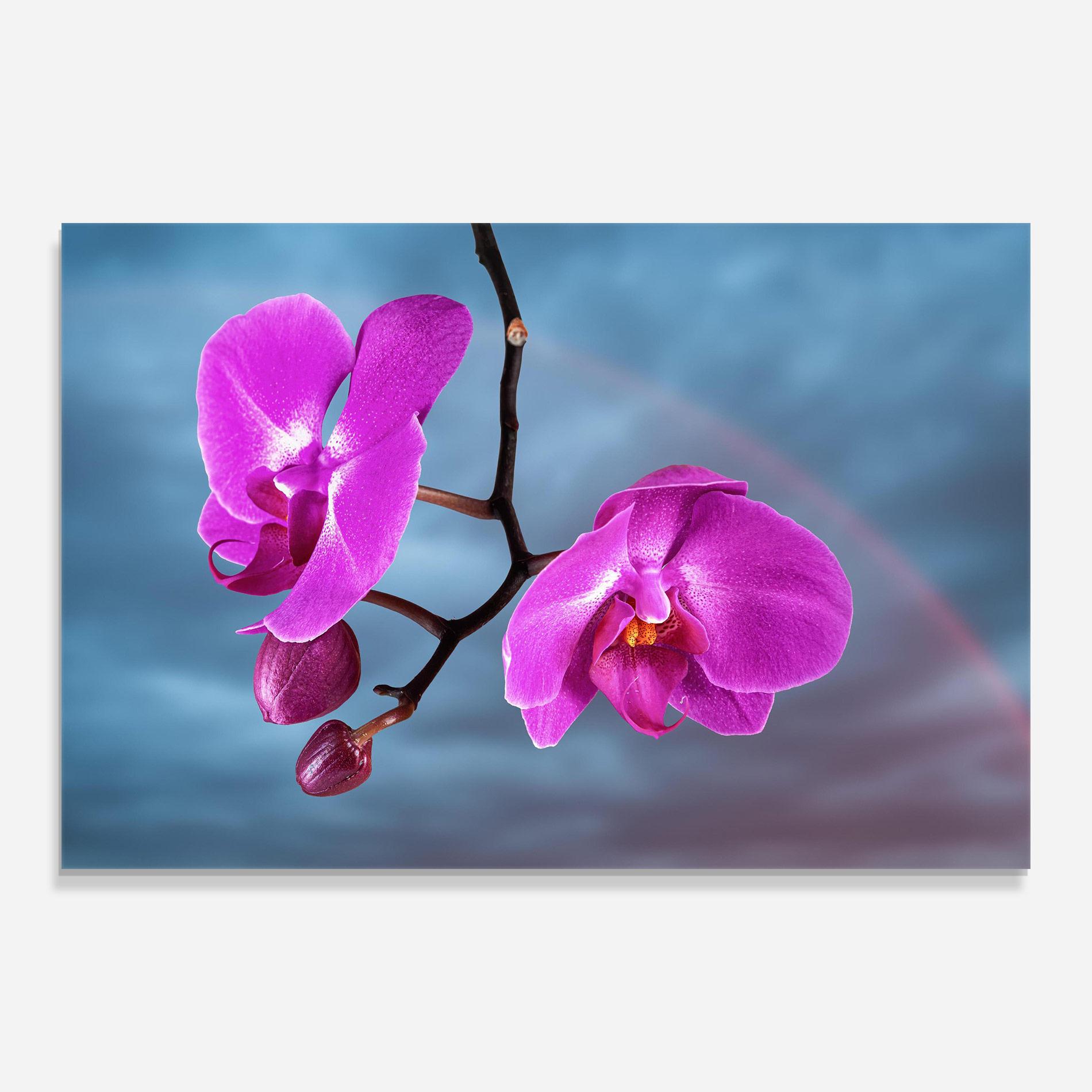 Üvegkép Sky Purple Orchid mockup 0