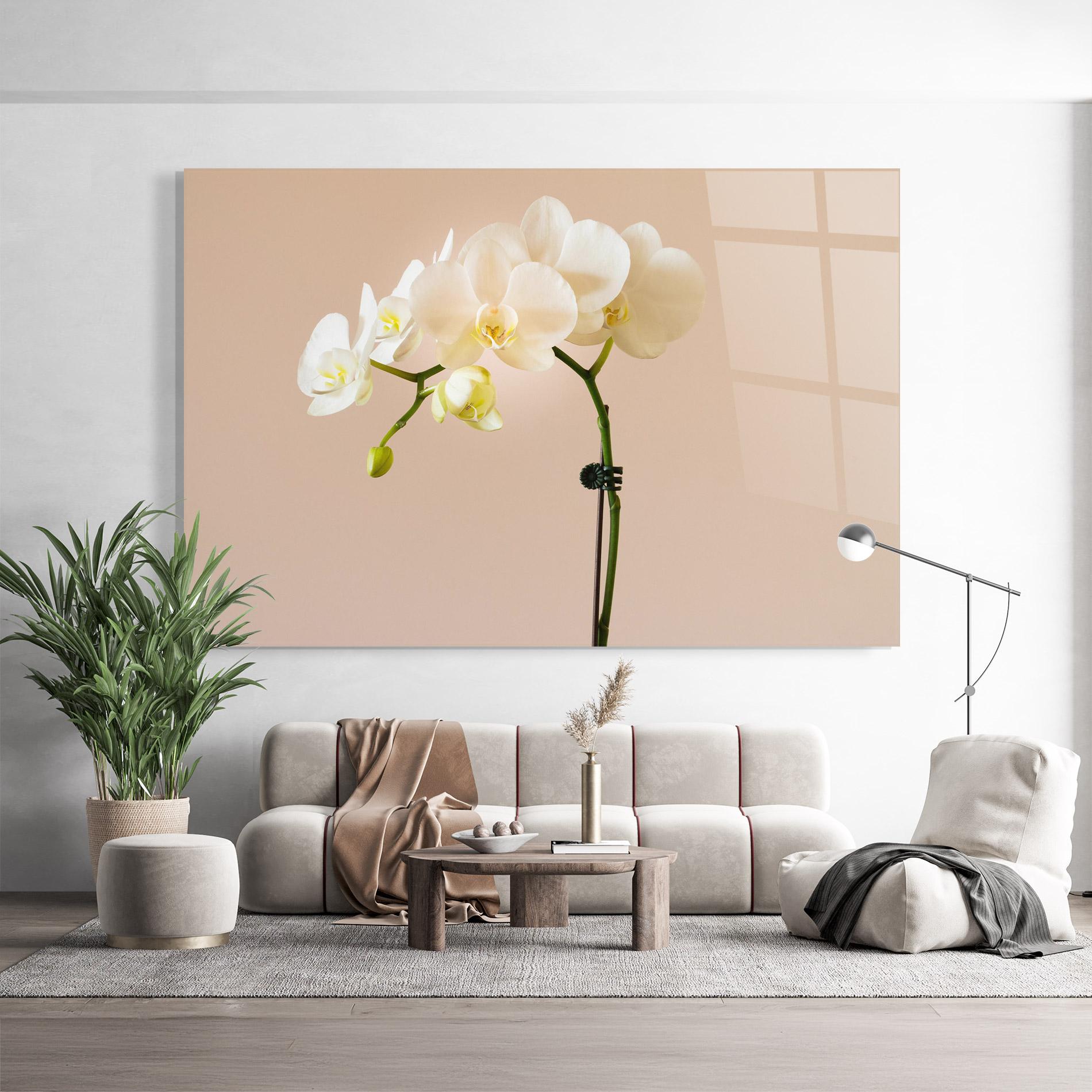 Üvegkép Cream Orchid On Pink mockup 9