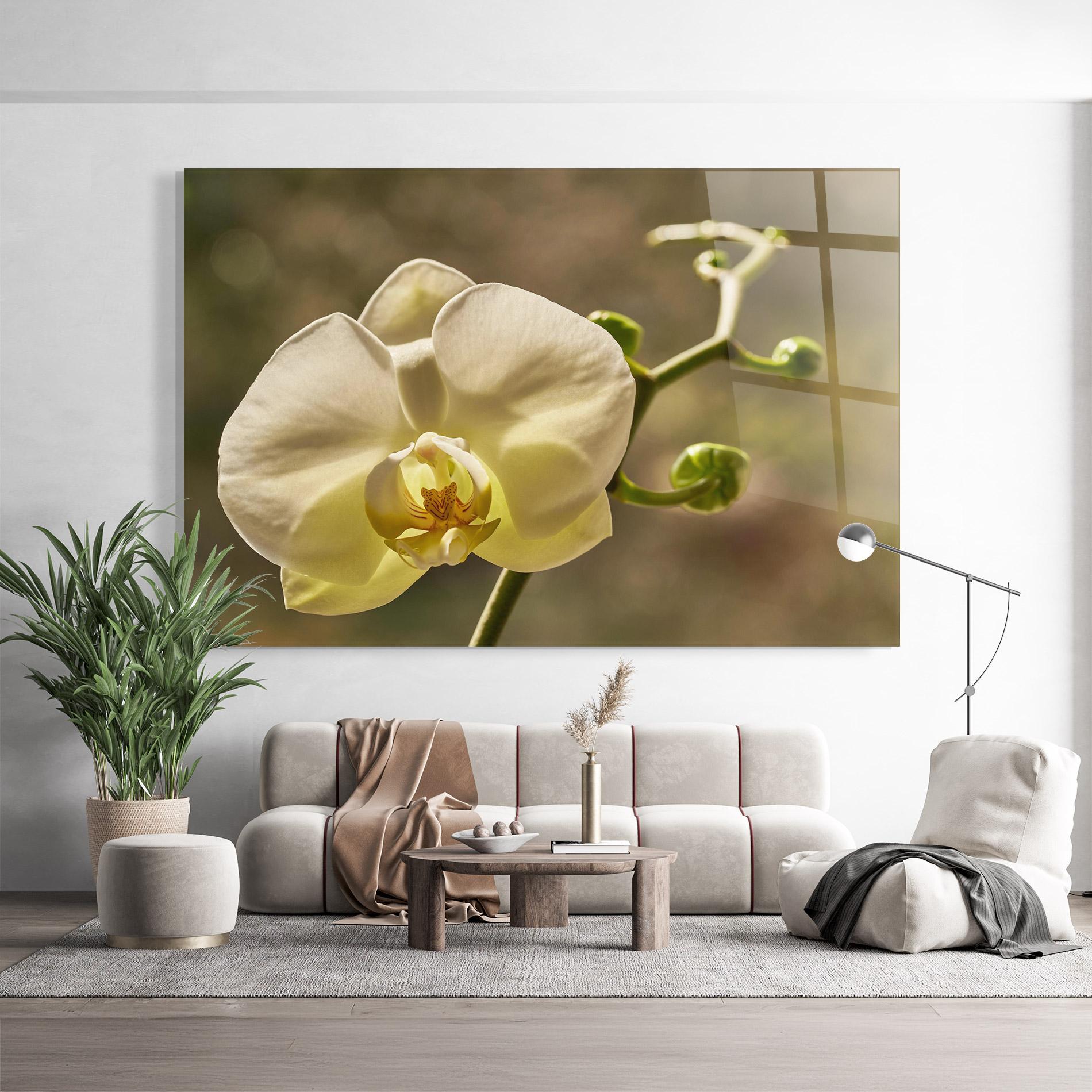 Üvegkép Pastel Yellow Orchid In Garden mockup 9