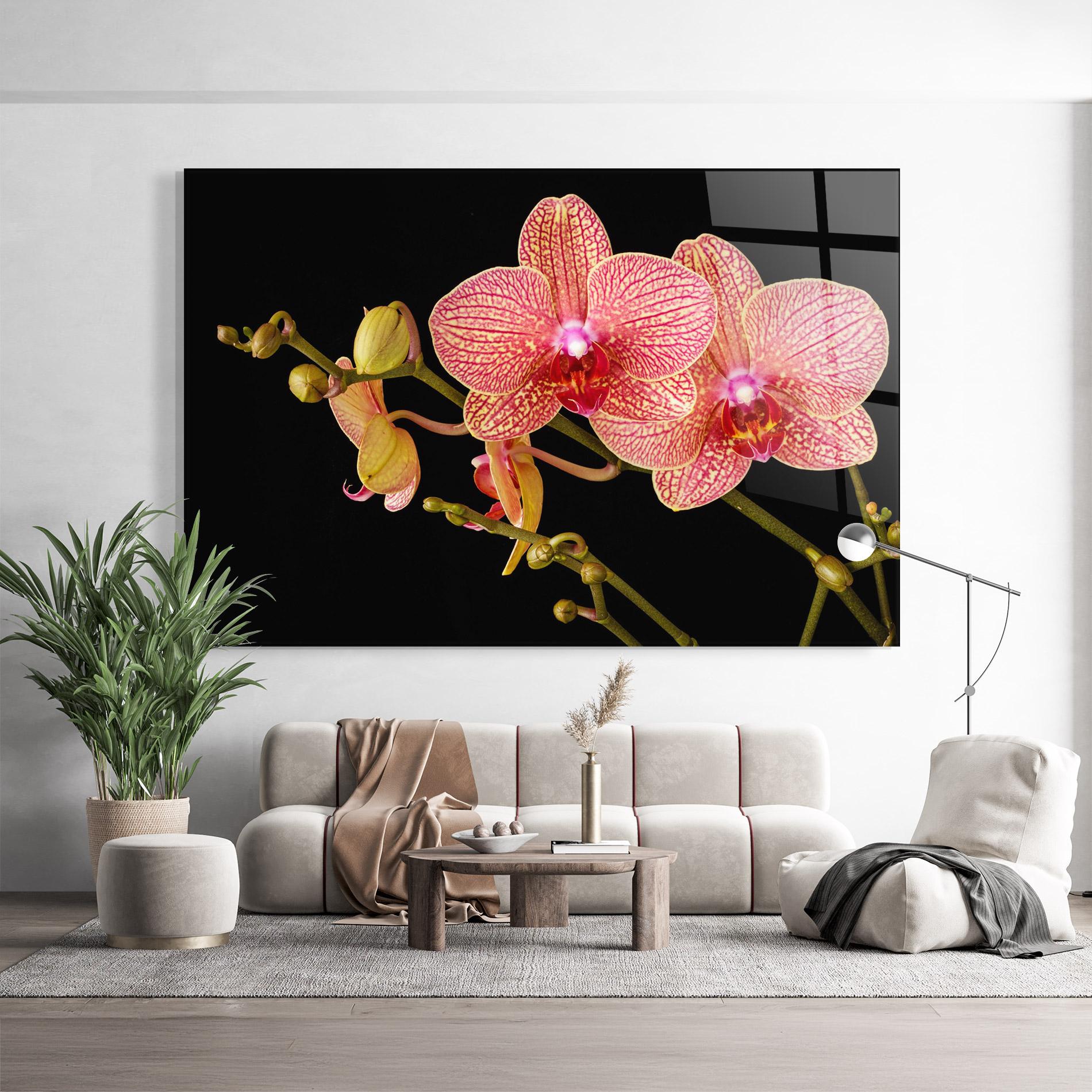 Üvegkép Pink Orchids On Black mockup 9