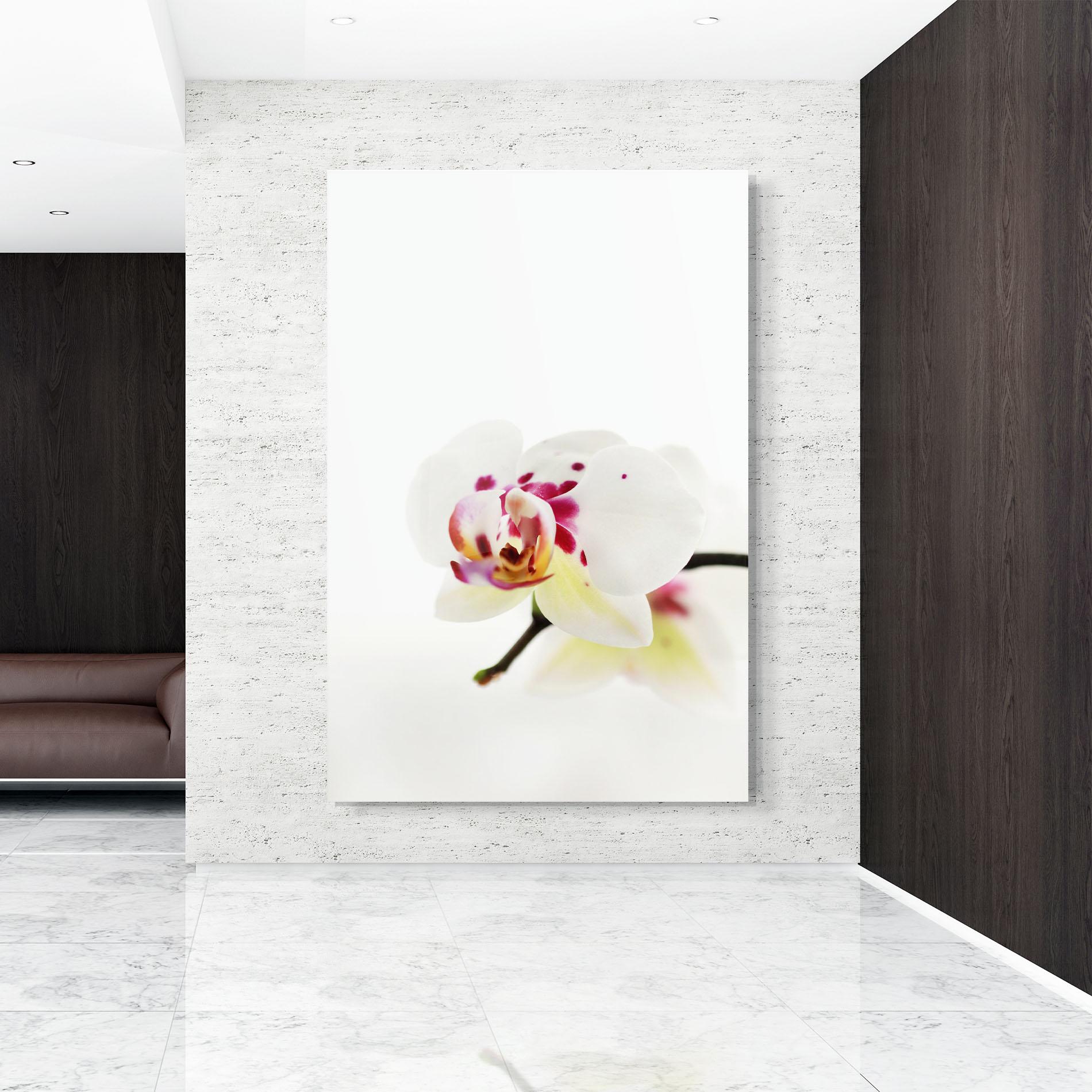 Üvegkép Clean White Orchid mockup 9
