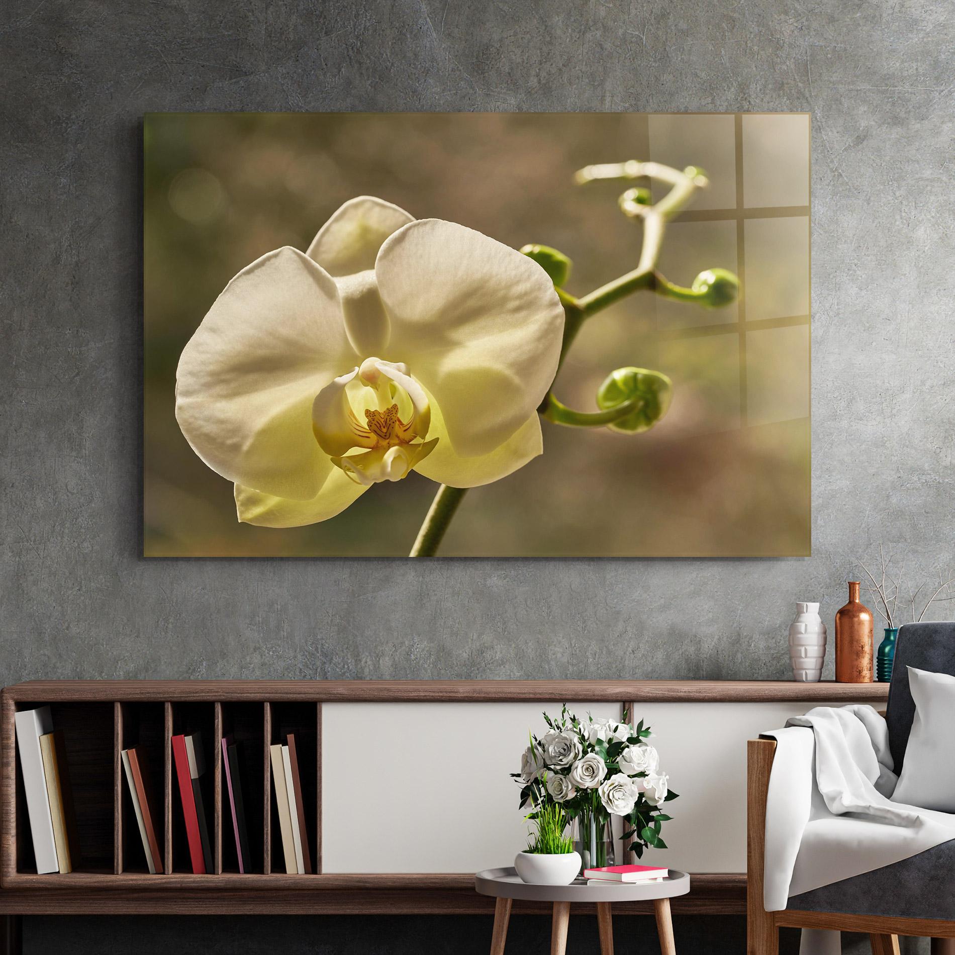 Üvegkép Pastel Yellow Orchid In Garden mockup 2