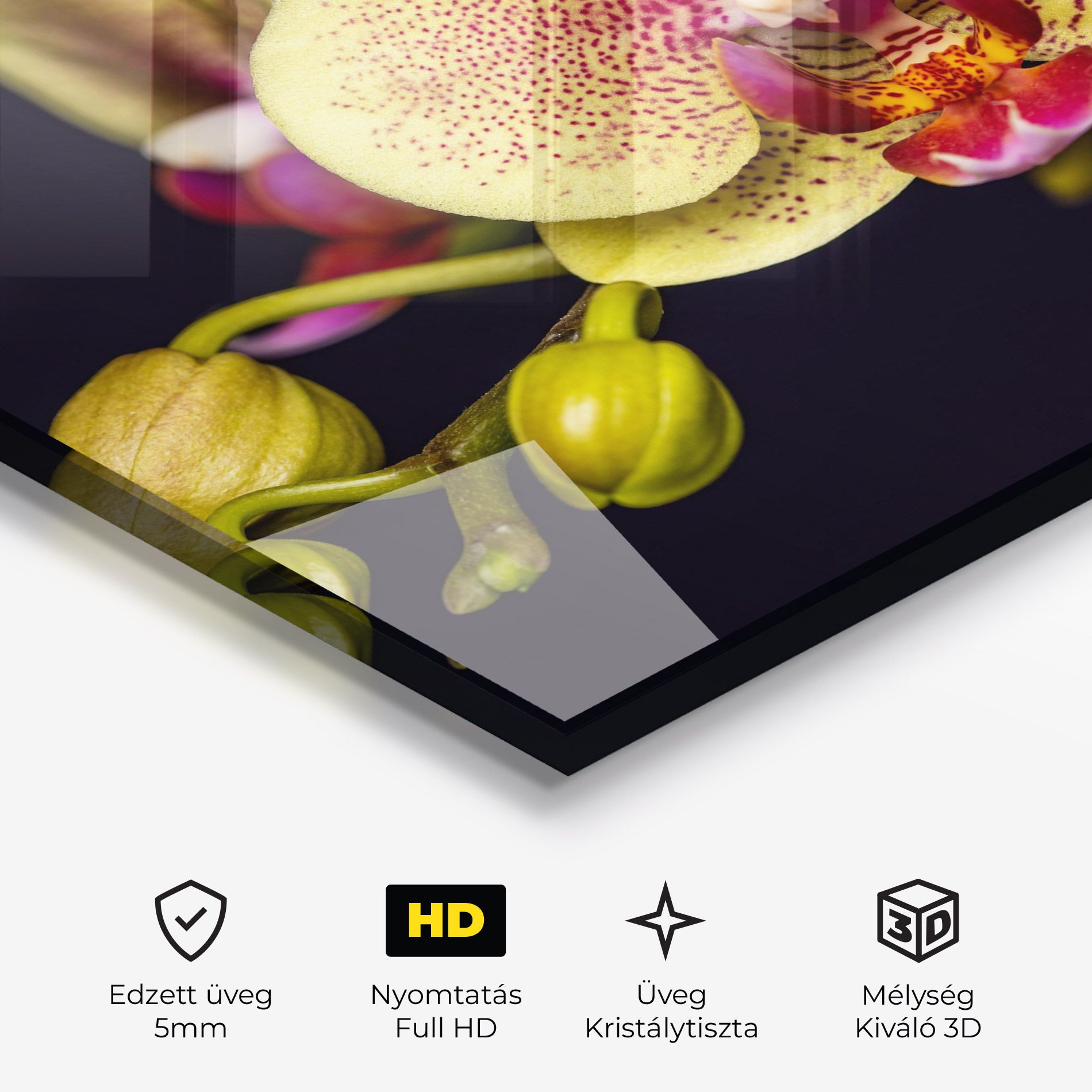 Baby Orchid mockup 3