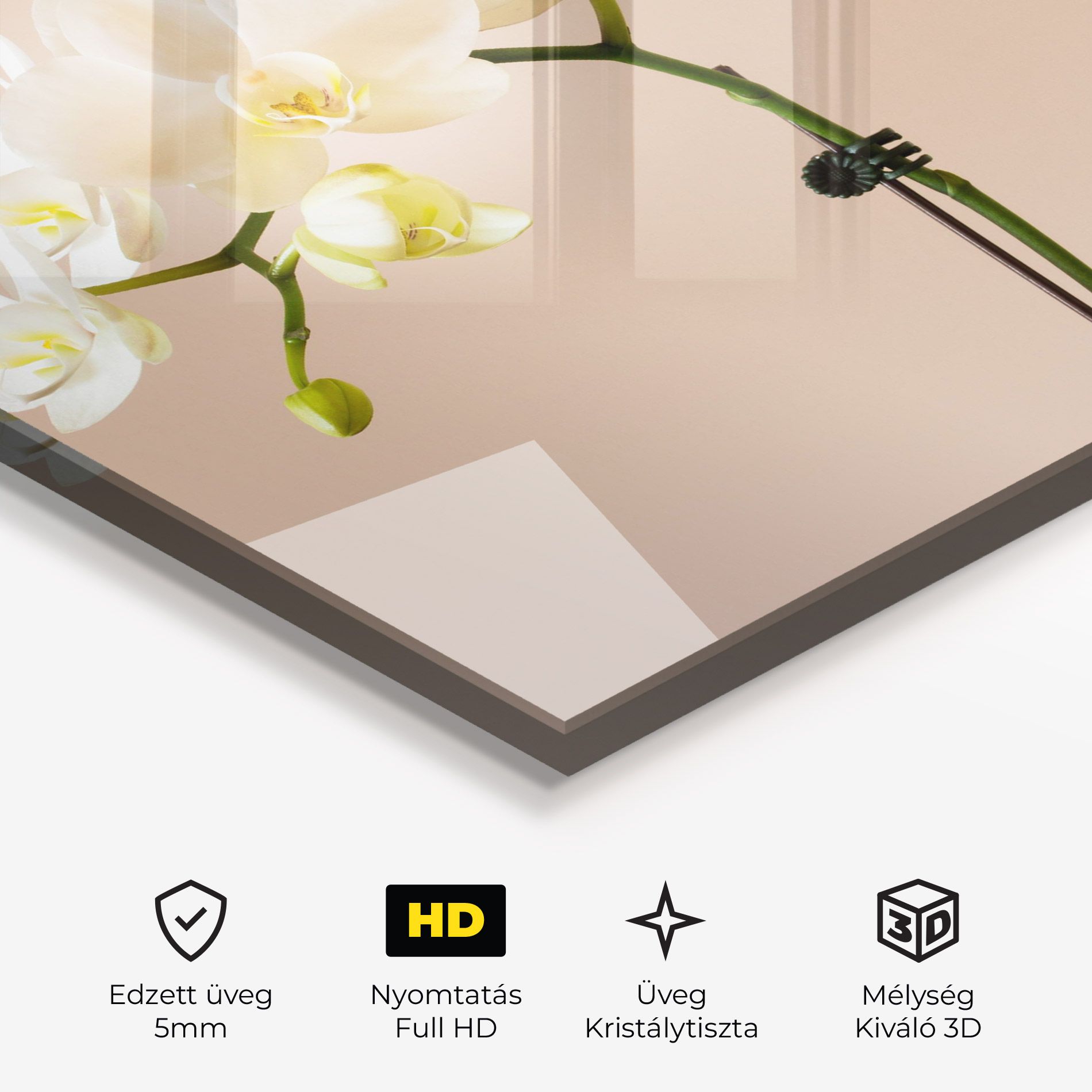 Cream Orchid On Pink mockup 3