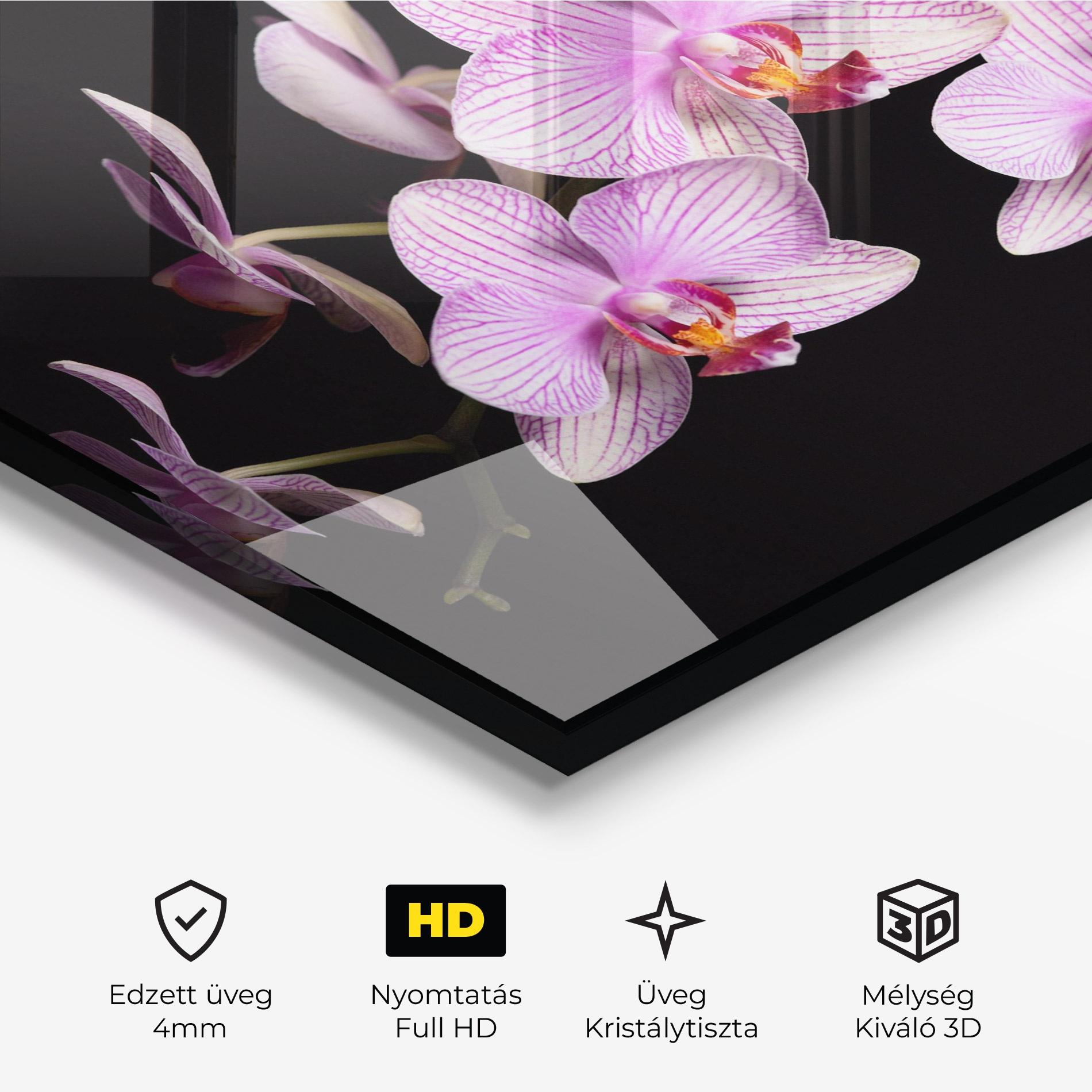 Üvegkép Beautiful Orchids On Black mockup 3