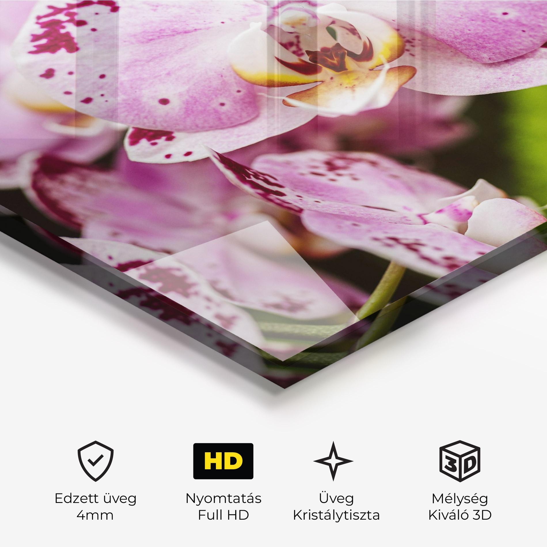 Üvegkép Big Pink Orchid In Nature mockup 3