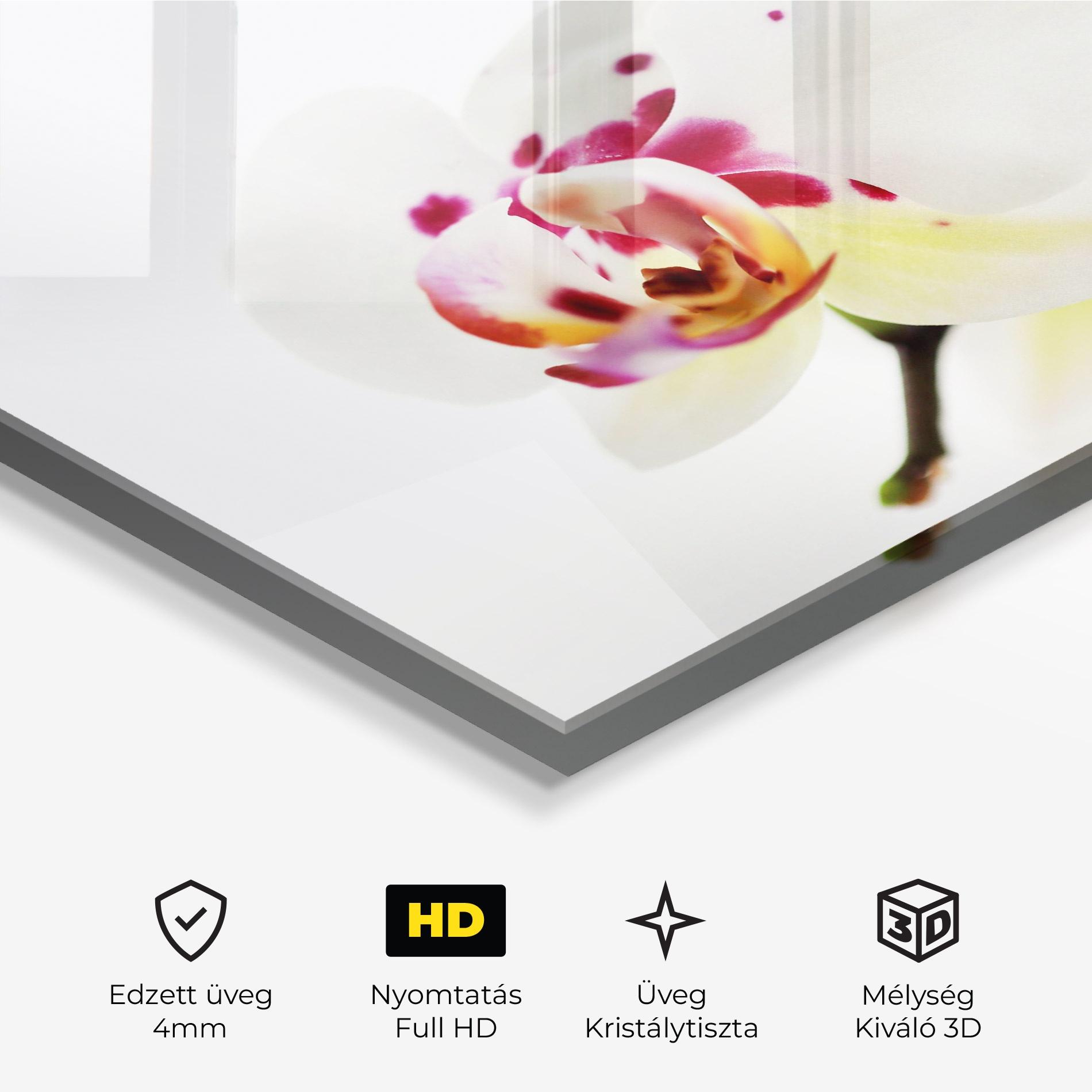 Üvegkép Clean White Orchid mockup 3