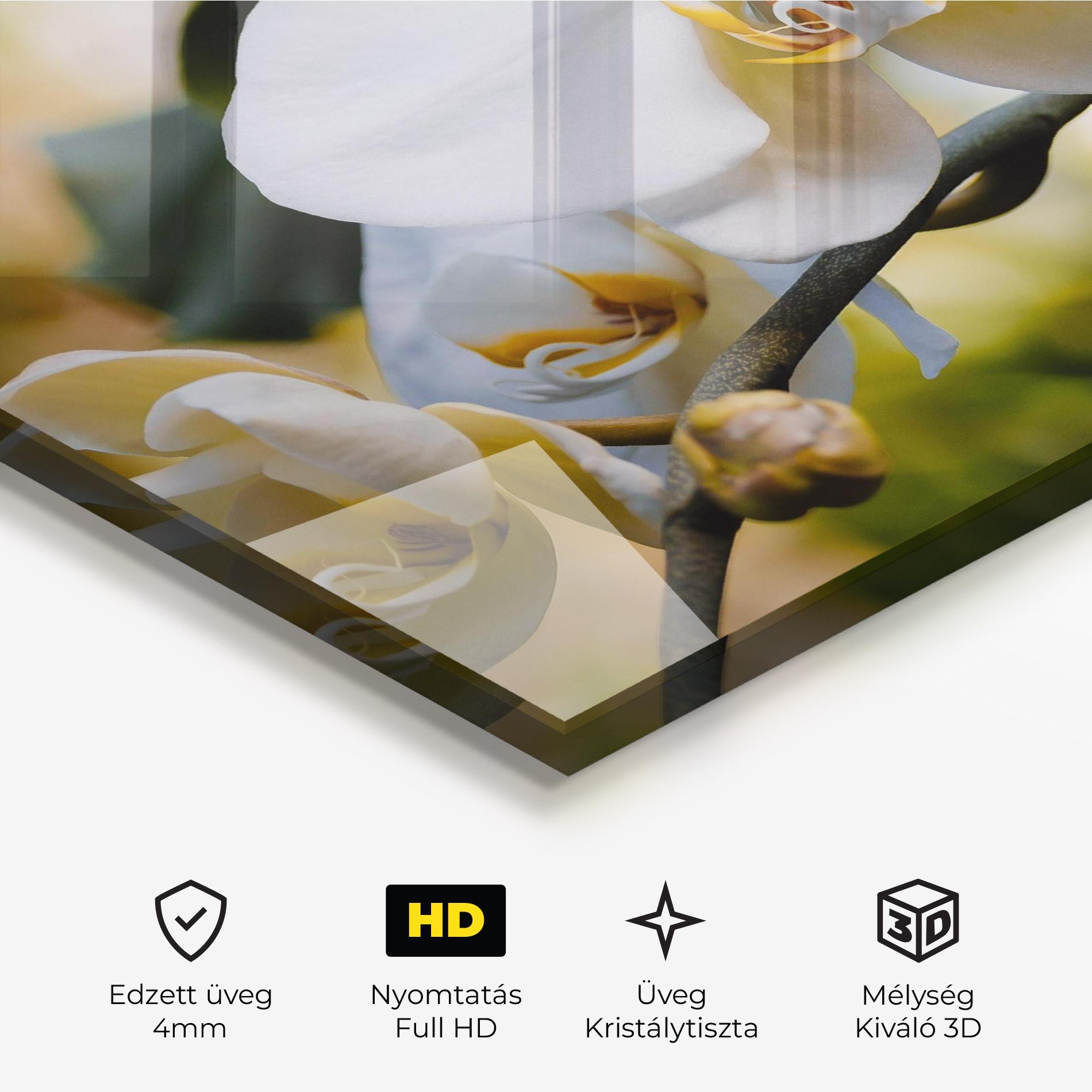 Üvegkép Cream Orchid In Nature mockup 3