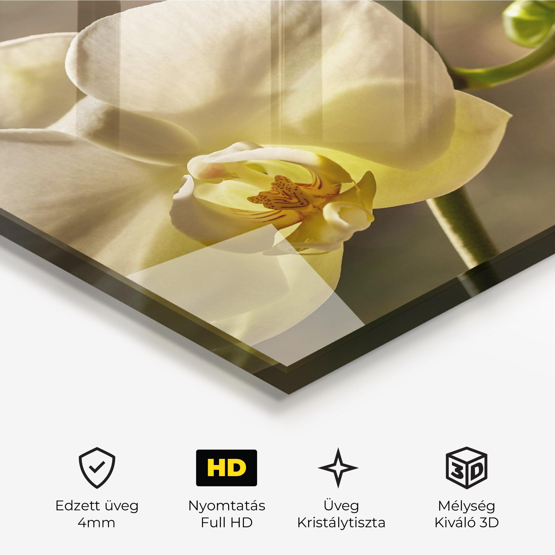 Üvegkép Pastel Yellow Orchid In Garden mockup 3