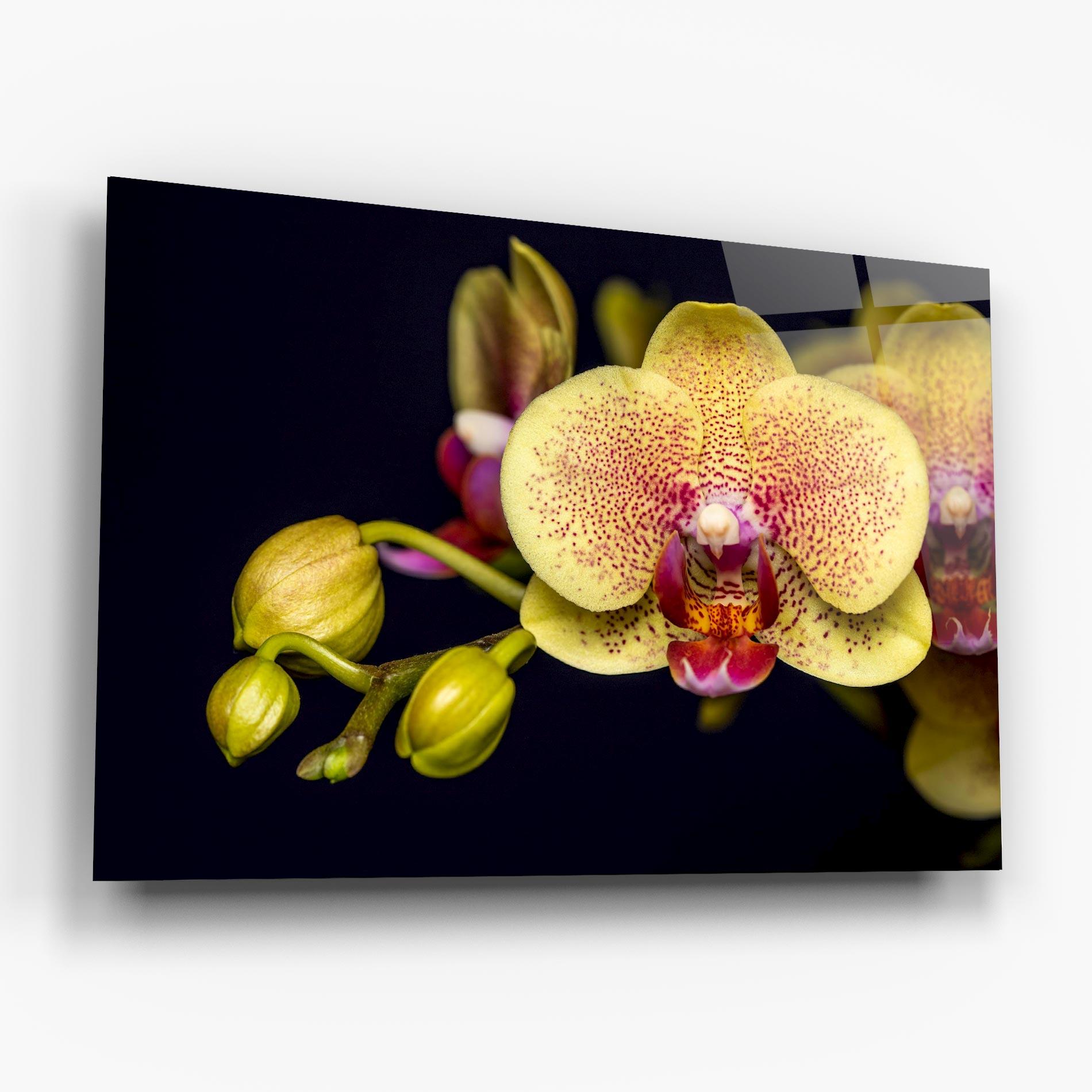 Üvegkép Baby Orchid mockup 6