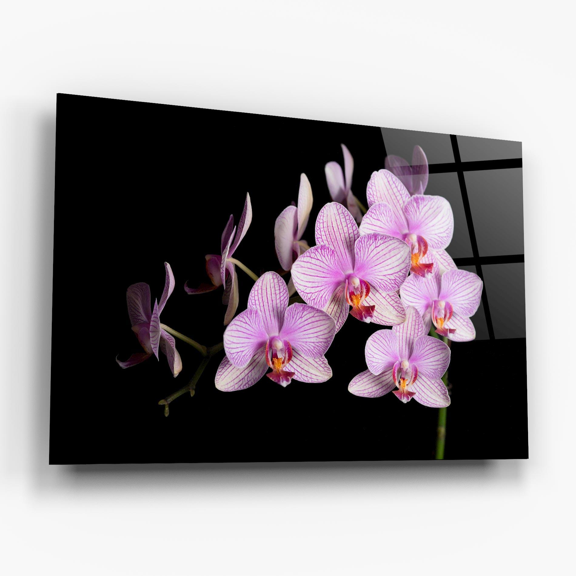 Üvegkép Beautiful Orchids On Black mockup 6