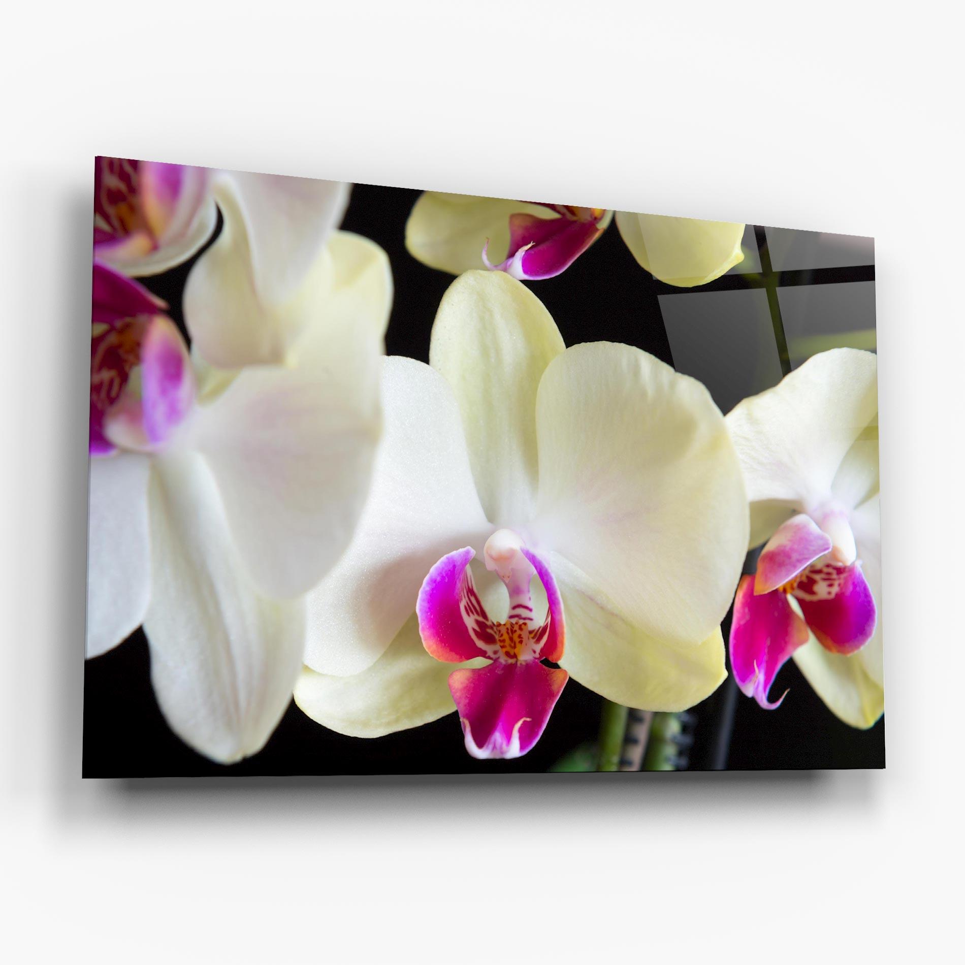Üvegkép Cream Purple Orchids mockup 6