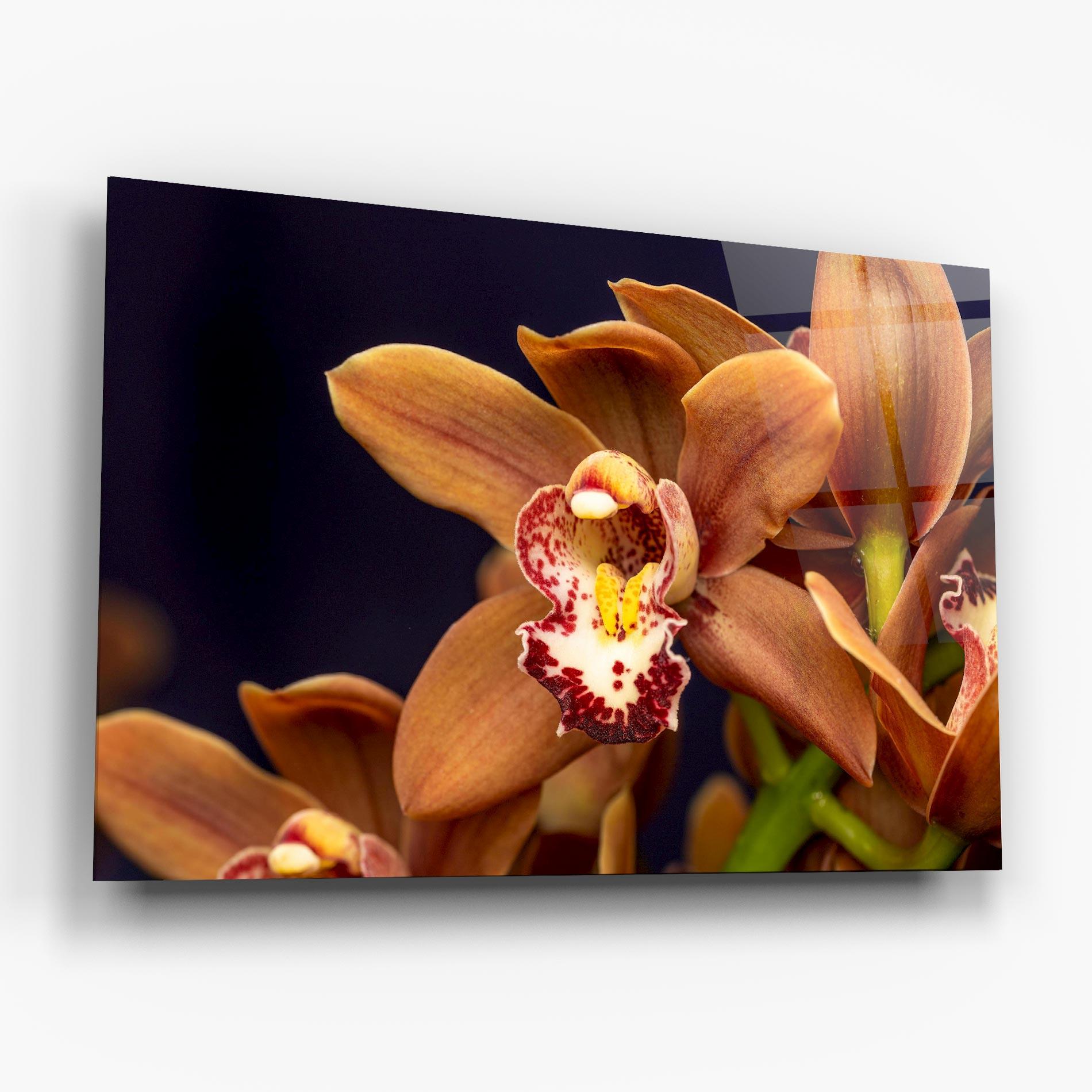 Üvegkép Dirty Orange Orchid mockup 6