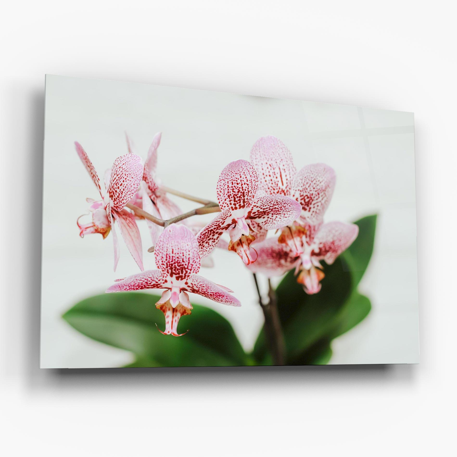 Üvegkép Green Orchids mockup 6