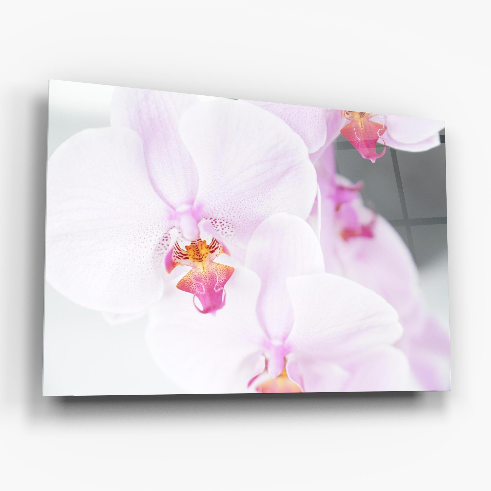 Üvegkép Light Purple Orchid mockup 6