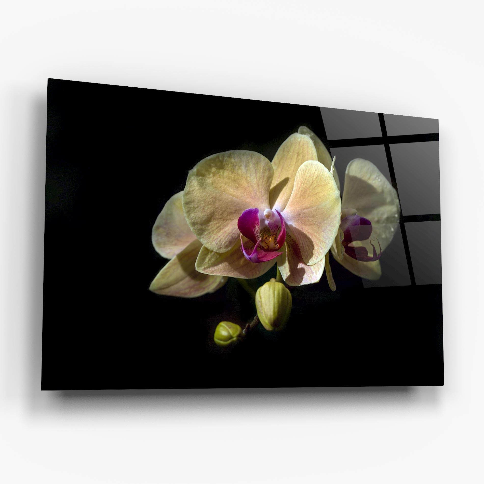 Üvegkép Pastel Yellow Orchids mockup 6