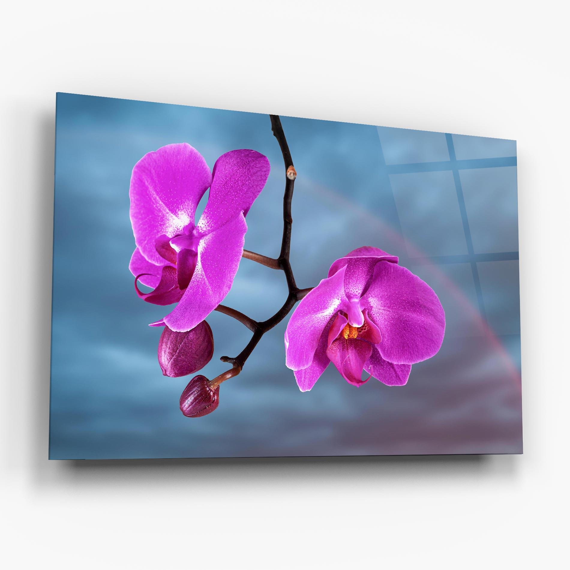 Üvegkép Sky Purple Orchid mockup 6