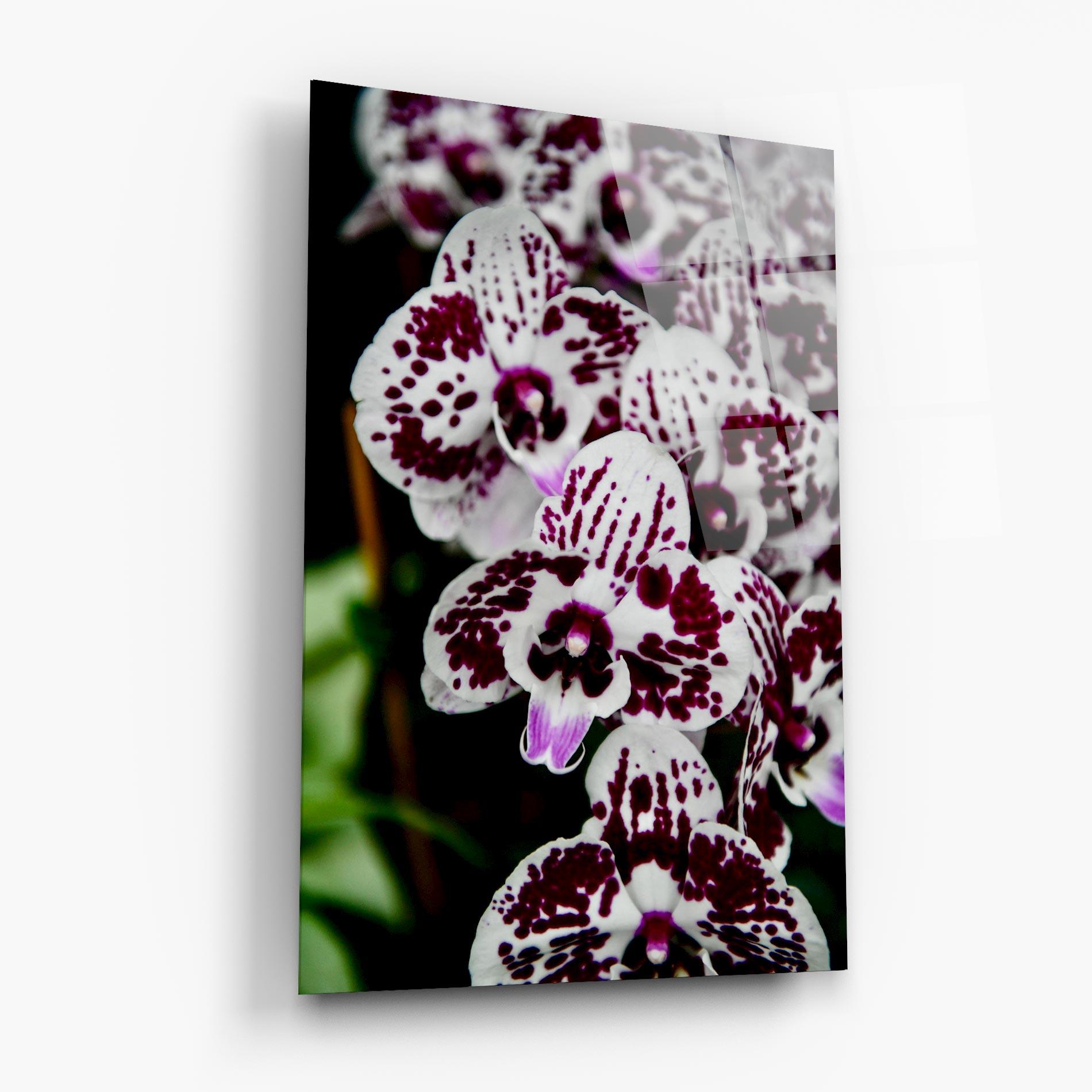 Üvegkép Dark Purple Orchids mockup 6